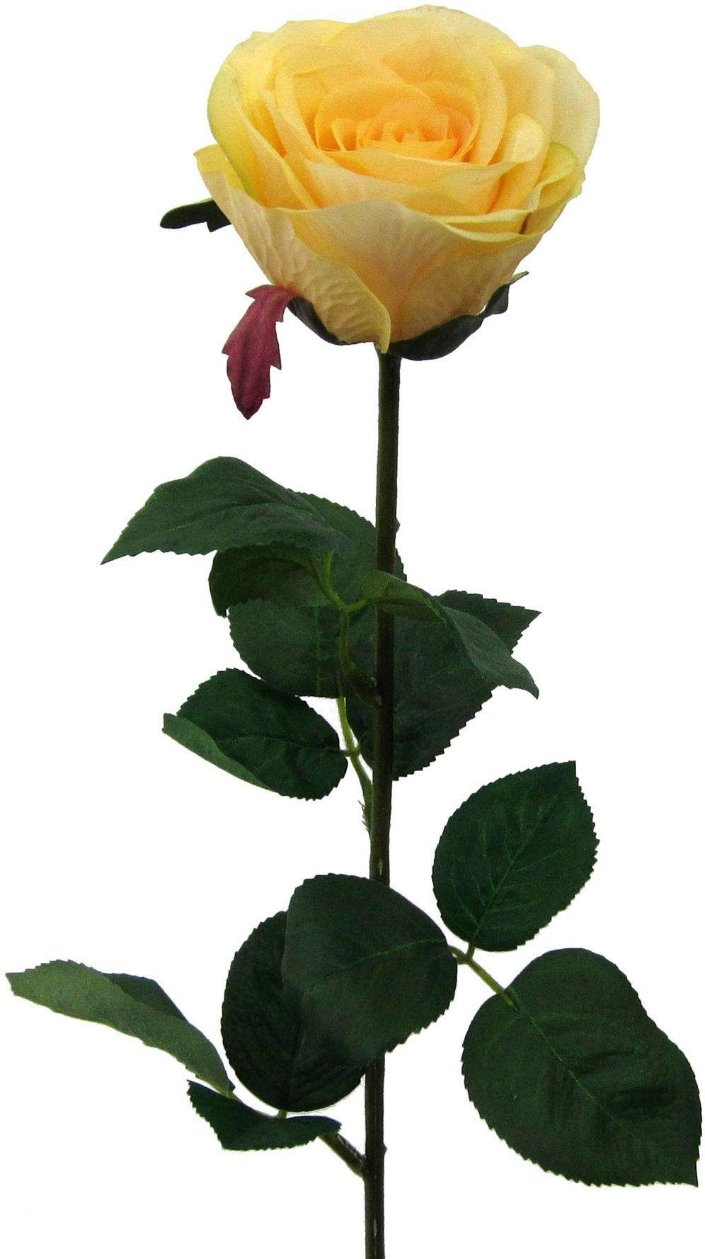 Kunstblume, Creativ green, Höhe 69 cm günstig online kaufen