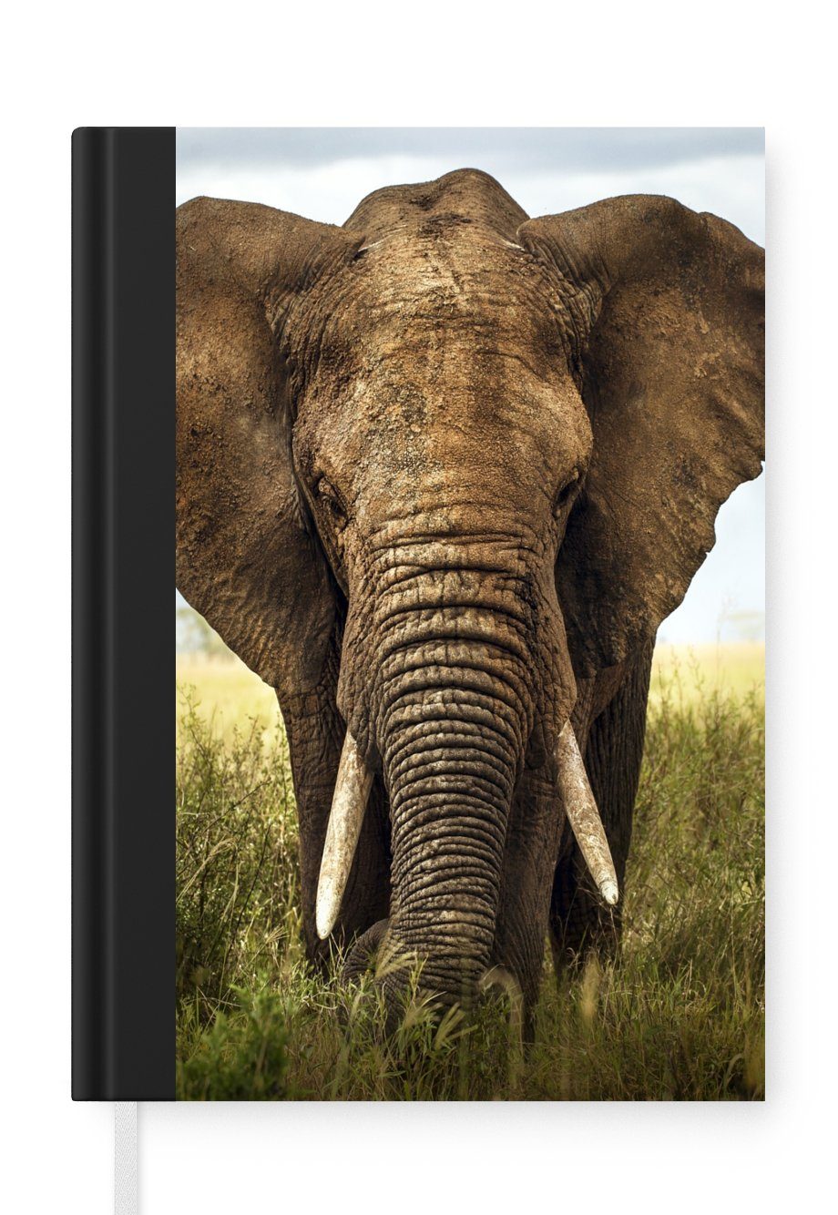 MuchoWow Notizbuch Elefant - Gras - Tiere - Natur, Journal, Merkzettel, Tagebuch, Notizheft, A5, 98 Seiten, Haushaltsbuch | Notizbücher