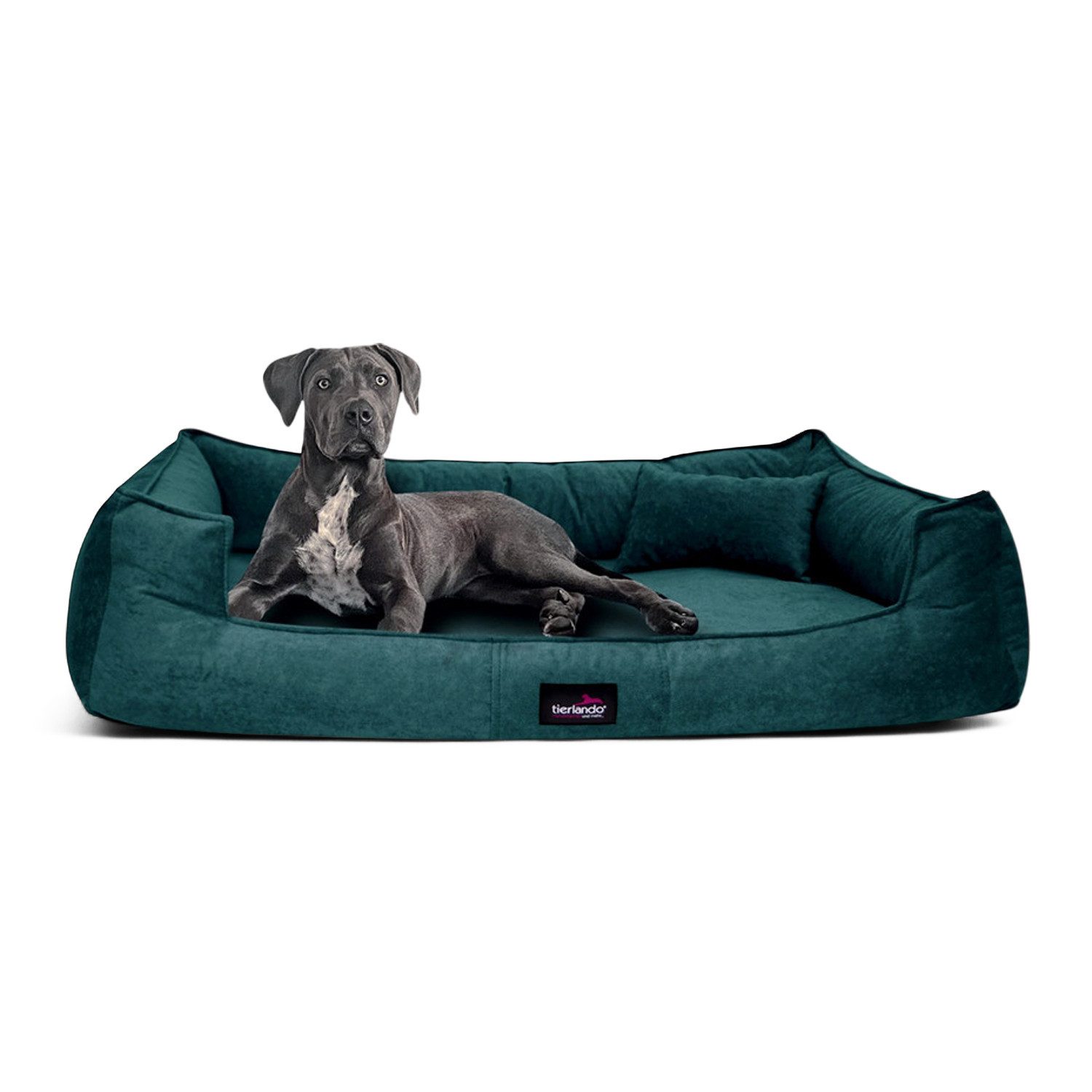 tierlando® Tierbett Orthopädisches Hundebett BRUCE VELOURS Waschbar Große H günstig online kaufen