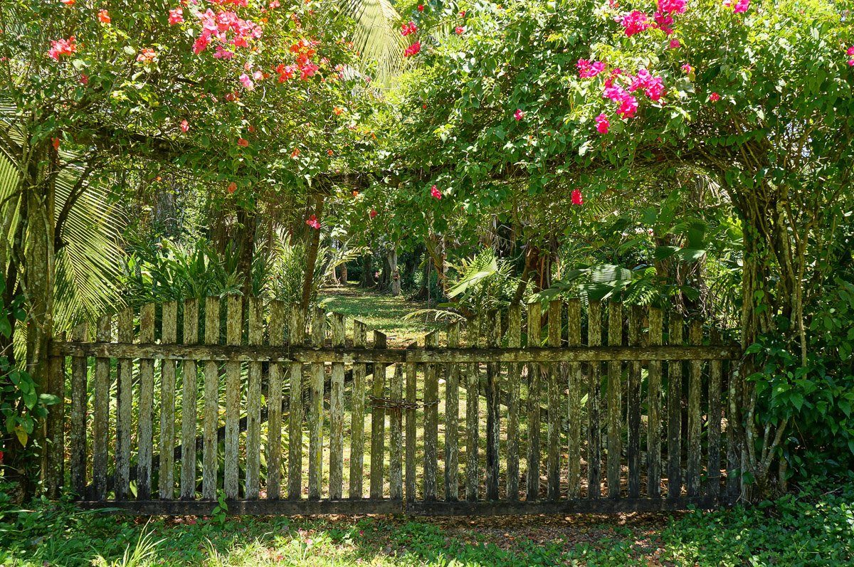 Papermoon Fototapete Altes Tor. € 111,56, (€ 111,56 pro 1 Stk).