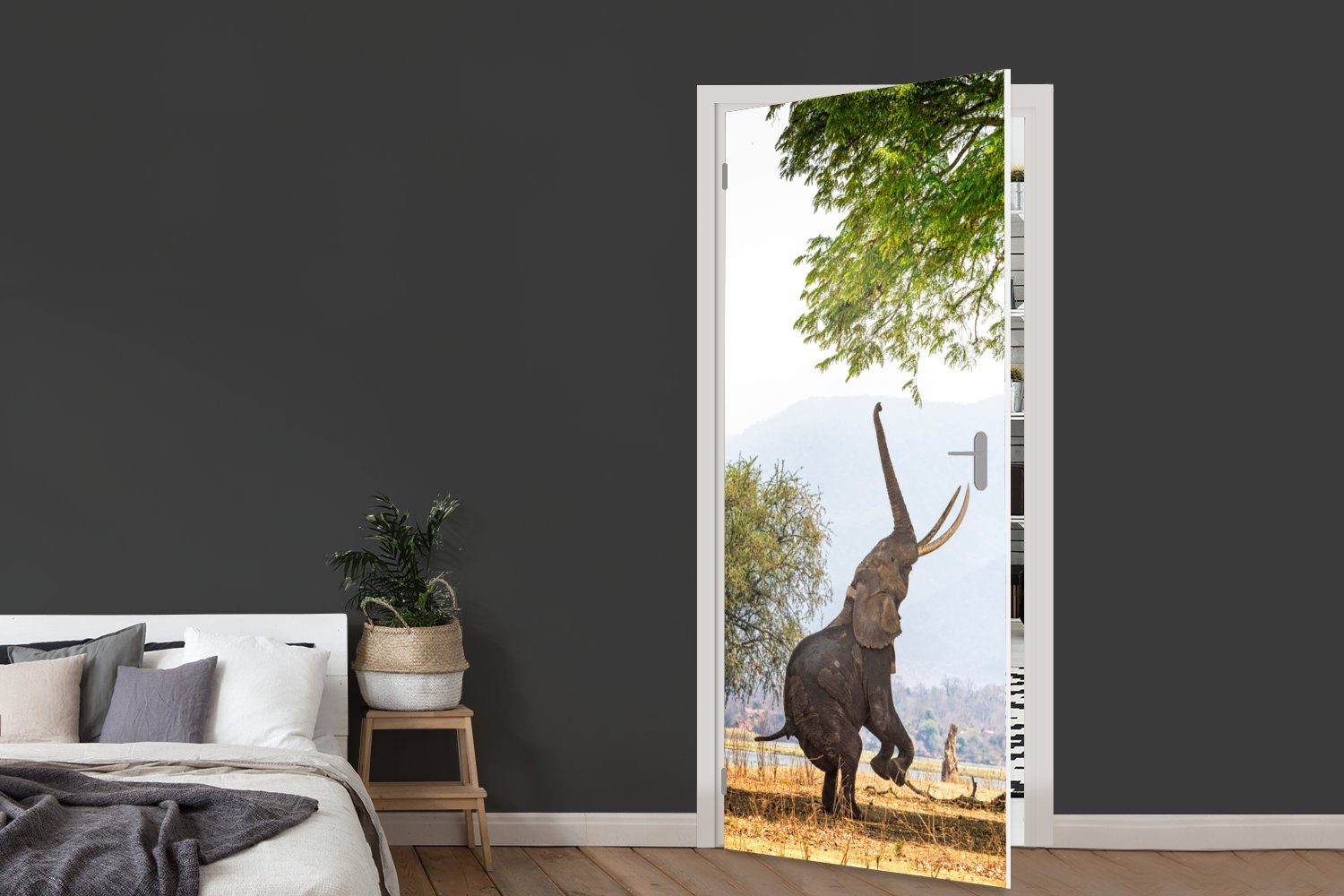 Tür, Baum Matt, Elefant Türtapete 75x205 cm Blätter, MuchoWow (1 St), Türaufkleber, bedruckt, - - Fototapete für