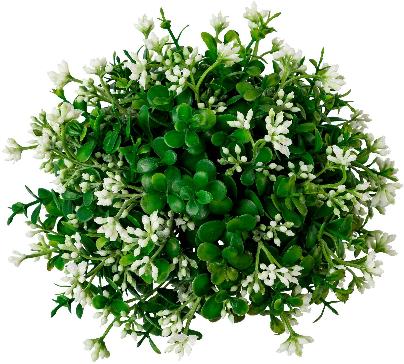 Kunstkranz Eukalypthushalbkugel, Creativ green, Höhe 18 günstig online kaufen