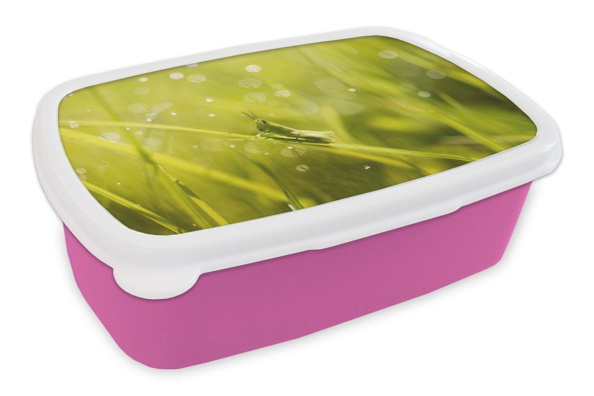 MuchoWow Lunchbox Grashüpfer - Gras - Grün, Kunststoff, (2-tlg), Brotbox für Erwachsene, Brotdose Kinder, Snackbox, Mädchen, Kunststoff rosa