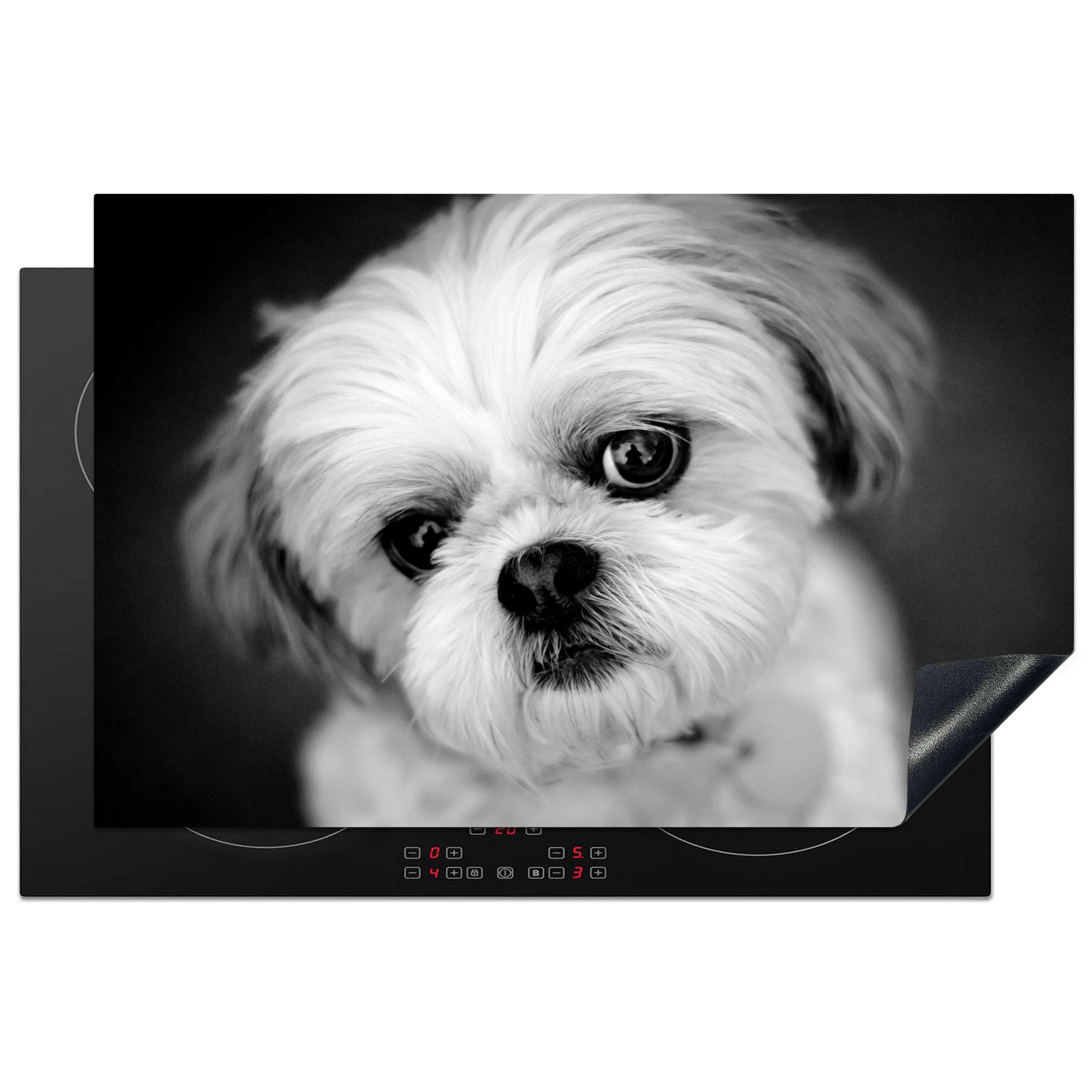 MuchoWow Herdblende-/Abdeckplatte Shih Tzu Hund schaut schräg in die Kamera - schwarz und weiß, Vinyl, (1 tlg), 81x52 cm, Induktionskochfeld Schutz für die küche, Ceranfeldabdeckung | Herdabdeckplatten