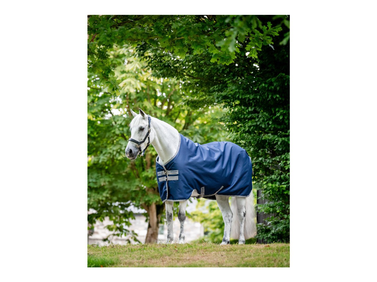 Horseware Ausreitdecke Outdoordecke Amigo Ripstop 900 Original 50g in navy-titanium grey