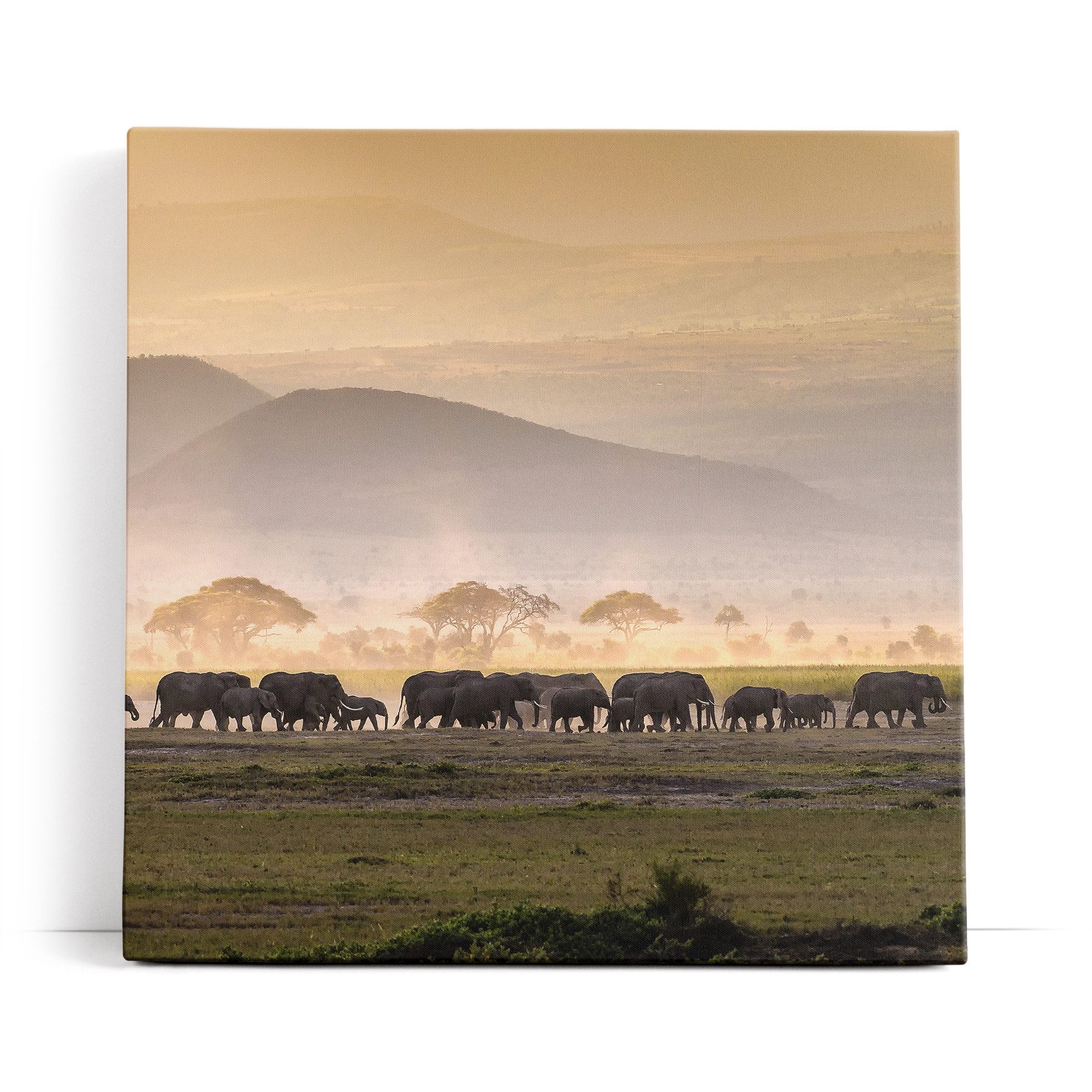 Leinwandbild Elefantenherde Elefanten Afrika Tierfotografie Landschaft