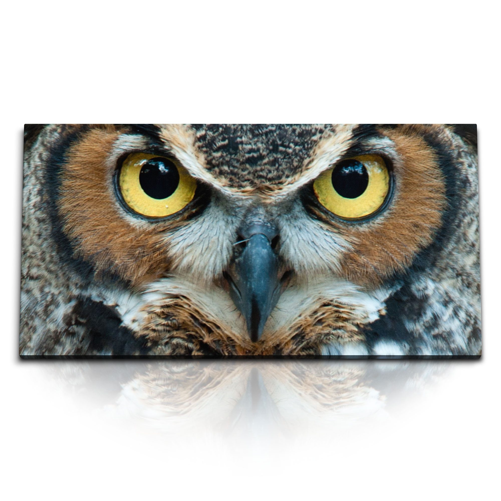 Leinwandbild Kunstdruck Bilder 120x60cm Eule Eulenaugen Tierfotografie Eulenkopf Uh