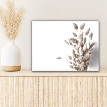 OneMillionCanvasses® Leinwandbild Pflanzen - Federn - Weiß, Beige, Weiß (1 St), Wandbild Leinwandbilder, Aufhängefertig, Wanddeko 40x30 cm