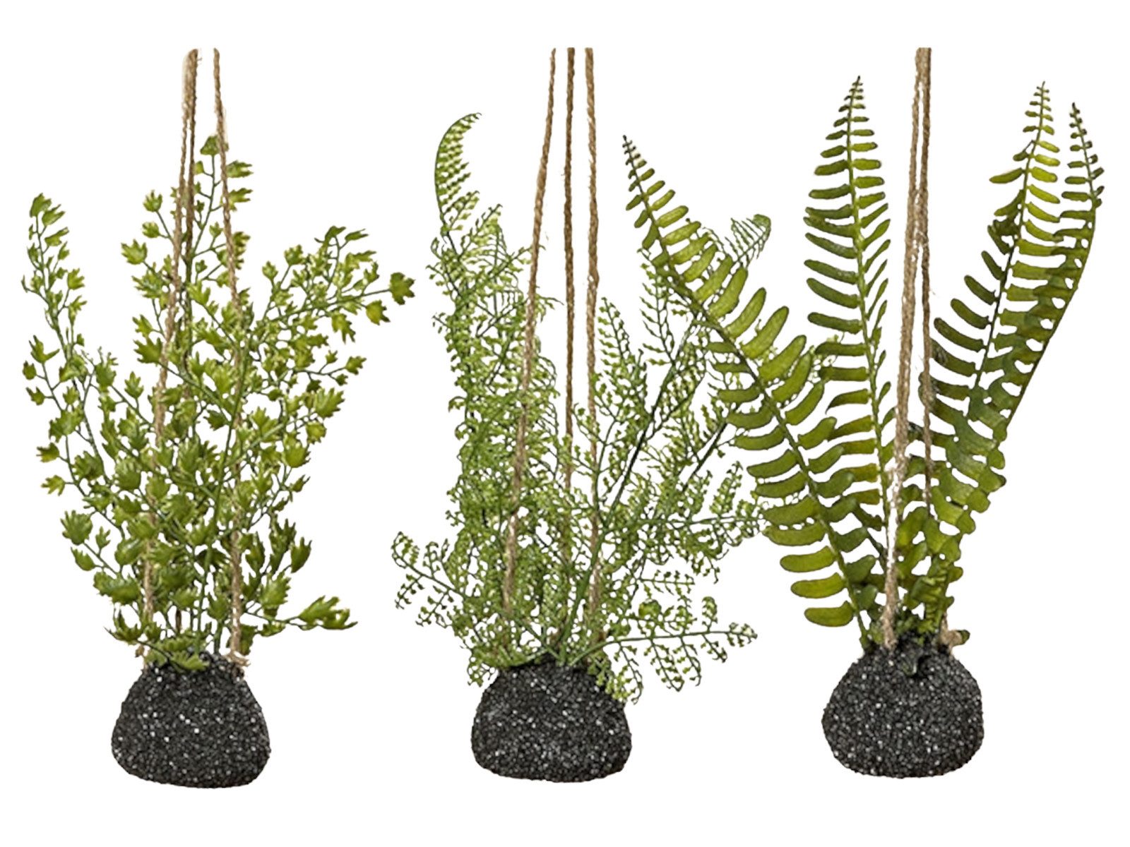 Dekohänger Farn Hänger sortiert 20 cm (1 Stück)