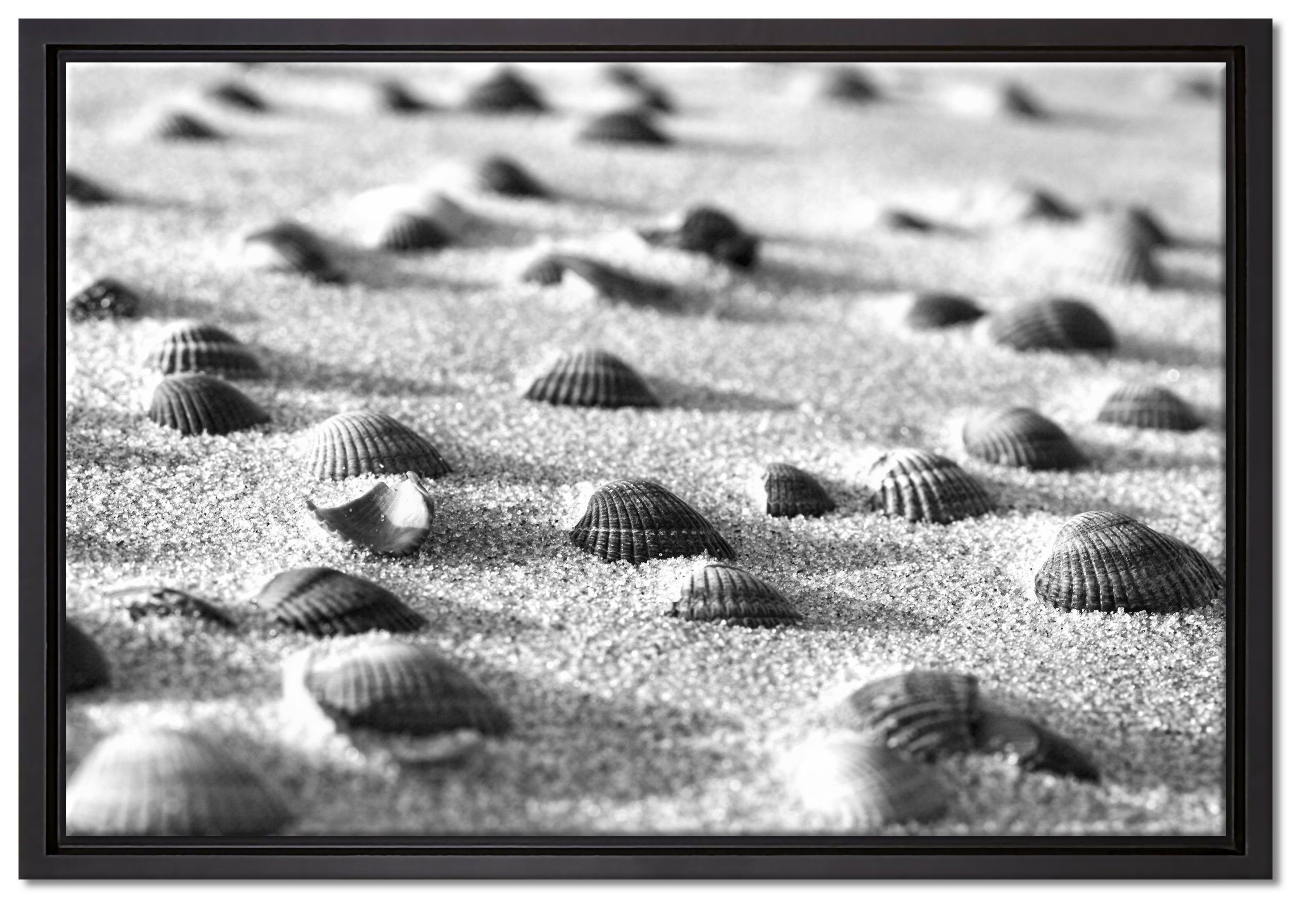 bespannt, Kunst Leinwandbild einem B&W, St), Leinwandbild inkl. Pixxprint Wanddekoration Zackenaufhänger in Muscheln gefasst, Sand Schattenfugen-Bilderrahmen (1 im fertig