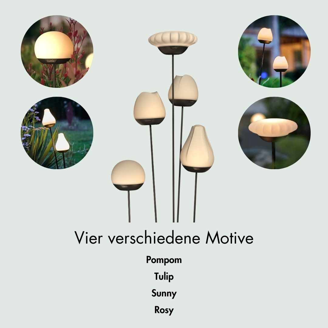 lumix LED Solarleuchte LUMIX Solar Flower Pompom, Farbwechsel, LED, Farbwechsel, Kaltweiß, Warmweiß, Solarlampe mit innenliegendem Solarpanel – Bild 4 von 5