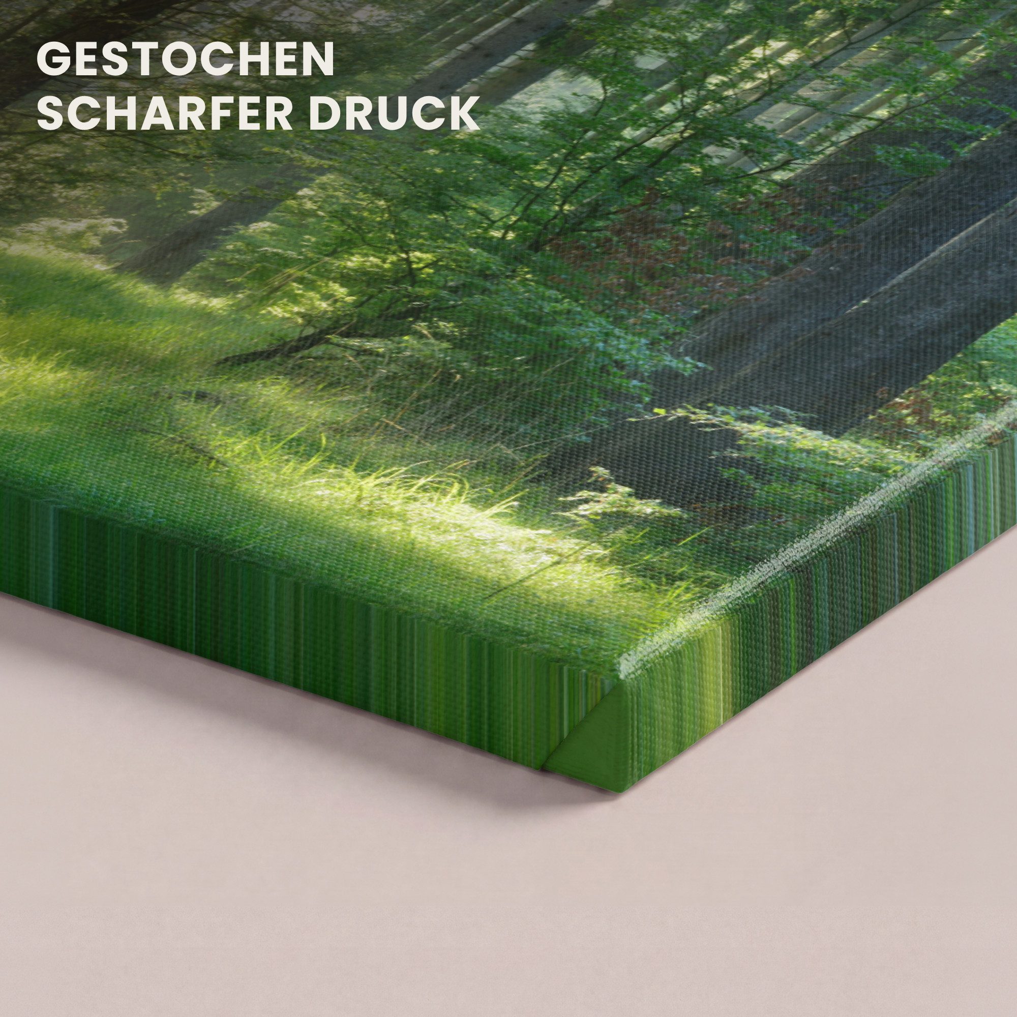 OneMillionCanvasses® Leinwandbild Panorama Natur - Bäume - Wald - Grün - Sonne - Gras - Pflanzen, Fotodruck (1 St), Wandbild, Deko Schlafzimmer Wohnzimmer Flur  – Bild 3 von 5