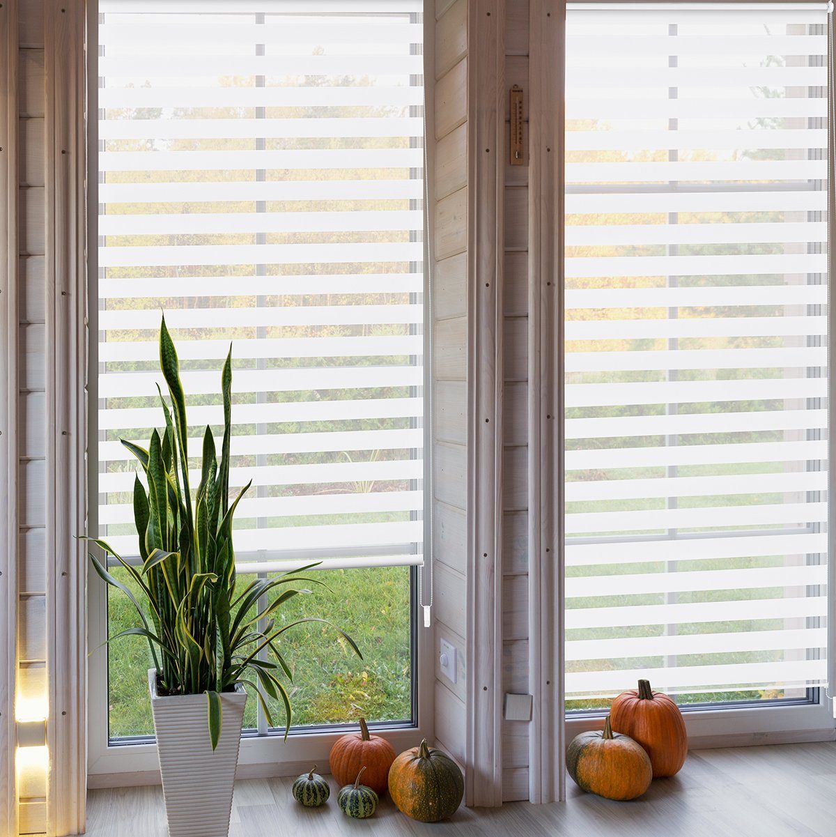 Rollos für Fenster Sekey, Rollo Bohren, mit Doppelrollo ohne Bohren Klemmfix oder