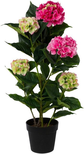 Kunstpflanze »Hortensie«, Creativ green, Höhe 92 cm, im Kunststofftopf-Otto