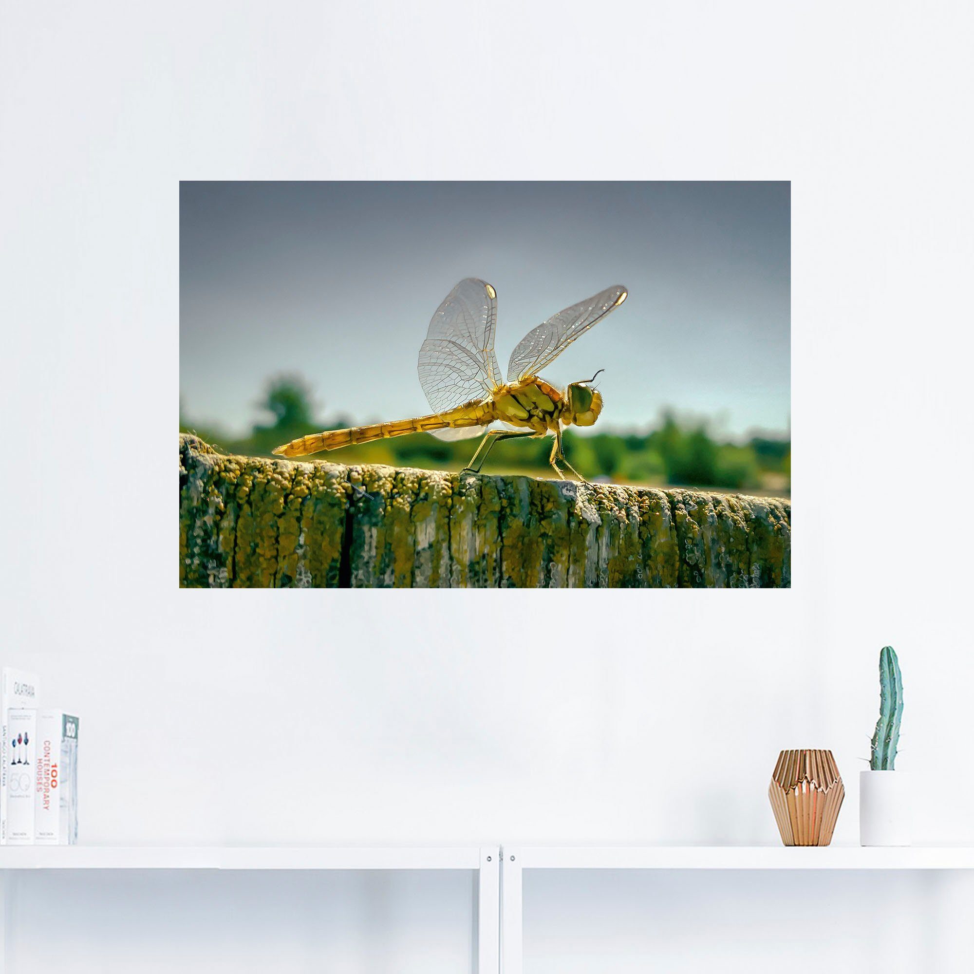 Leinwandbild, Libelle Artland Insekten als oder St), in Wandaufkleber Größen (1 versch. Alubild, Nahaufnahme, Poster Wandbild