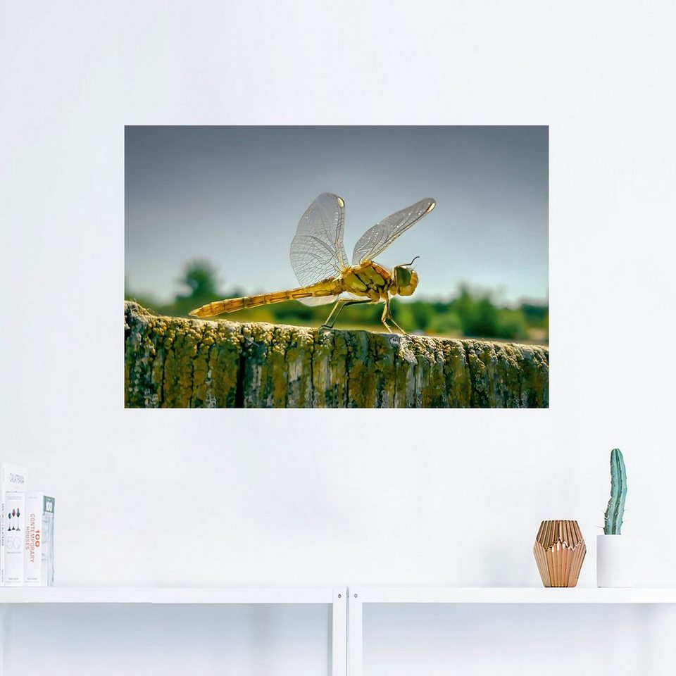 Artland Wandbild Libelle Nahaufnahme, Insekten (1 St), als Alubild,  Leinwandbild, Wandaufkleber oder Poster in versch. Größen