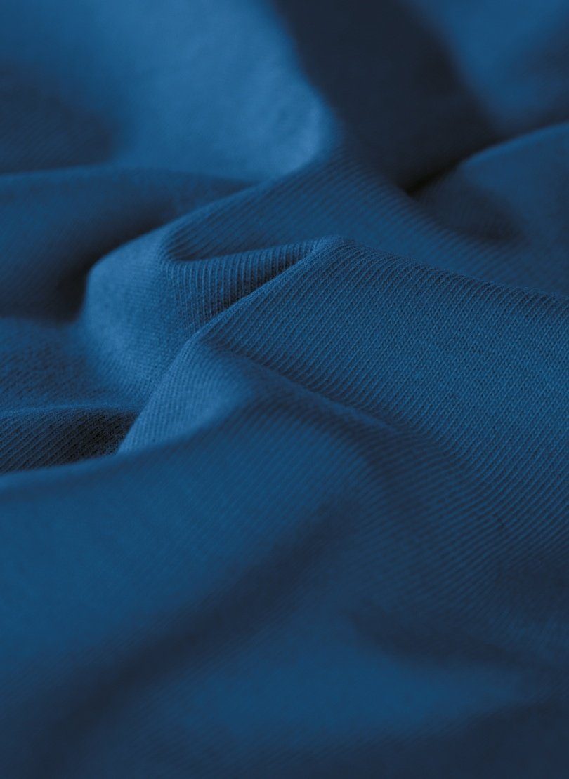 Trigema T-Shirt TRIGEMA V-Shirt Bio-Baumwolle 100% aus (kbA) saphir-C2C