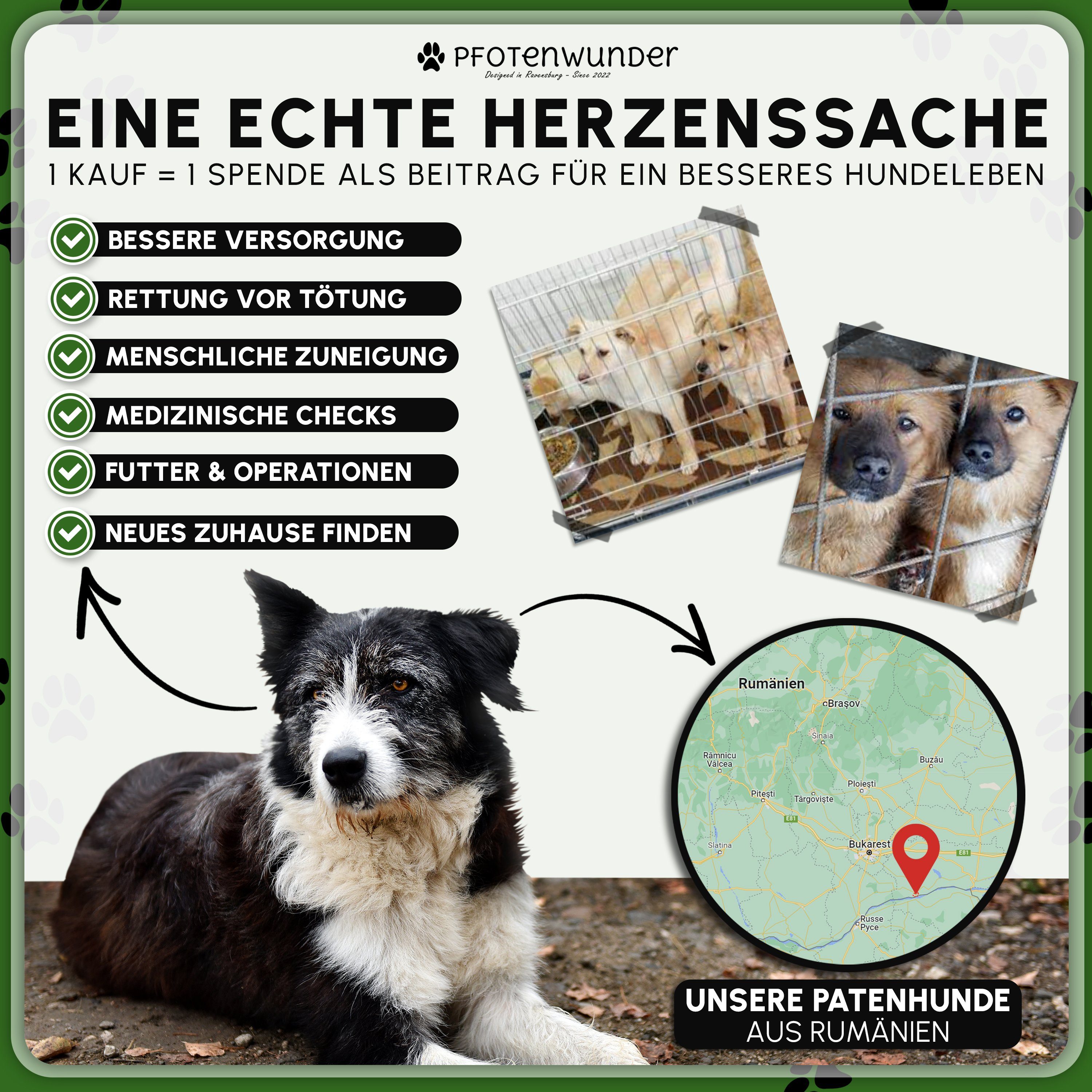 PfotenWunder Hundetoilette Hundeklo 63*51cm Hundetoilette kleine große Hunde Welpen-Toilette Klo, Inkl. 2x EASY-WASH-Rasen & Hilfreicher Anleitung
