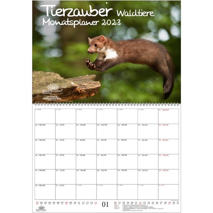 Seelenzauber Wandkalender Tierzauber Waldtiere Planer DIN A2 aufgeklappt - Kalender für 2023