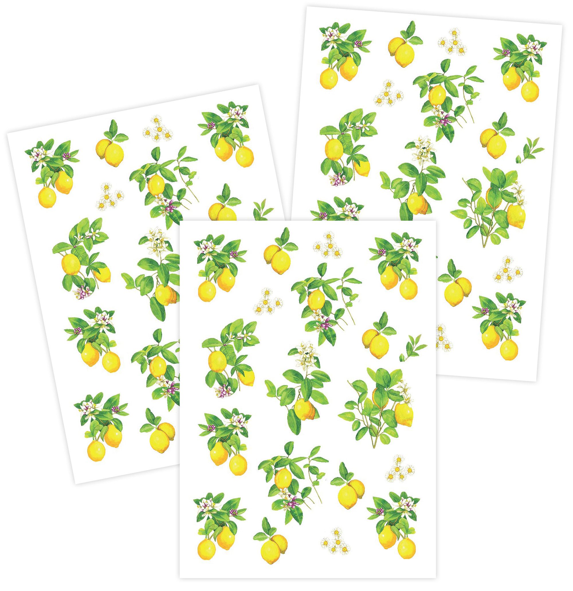 Kracht Geschirrtuch Zitronenblüte, (3-tlg., 3-teilig), 3er Pack Geschirrtücher (3 Stück), ca. 50 x 70 cm, Baumwolle bedruckt