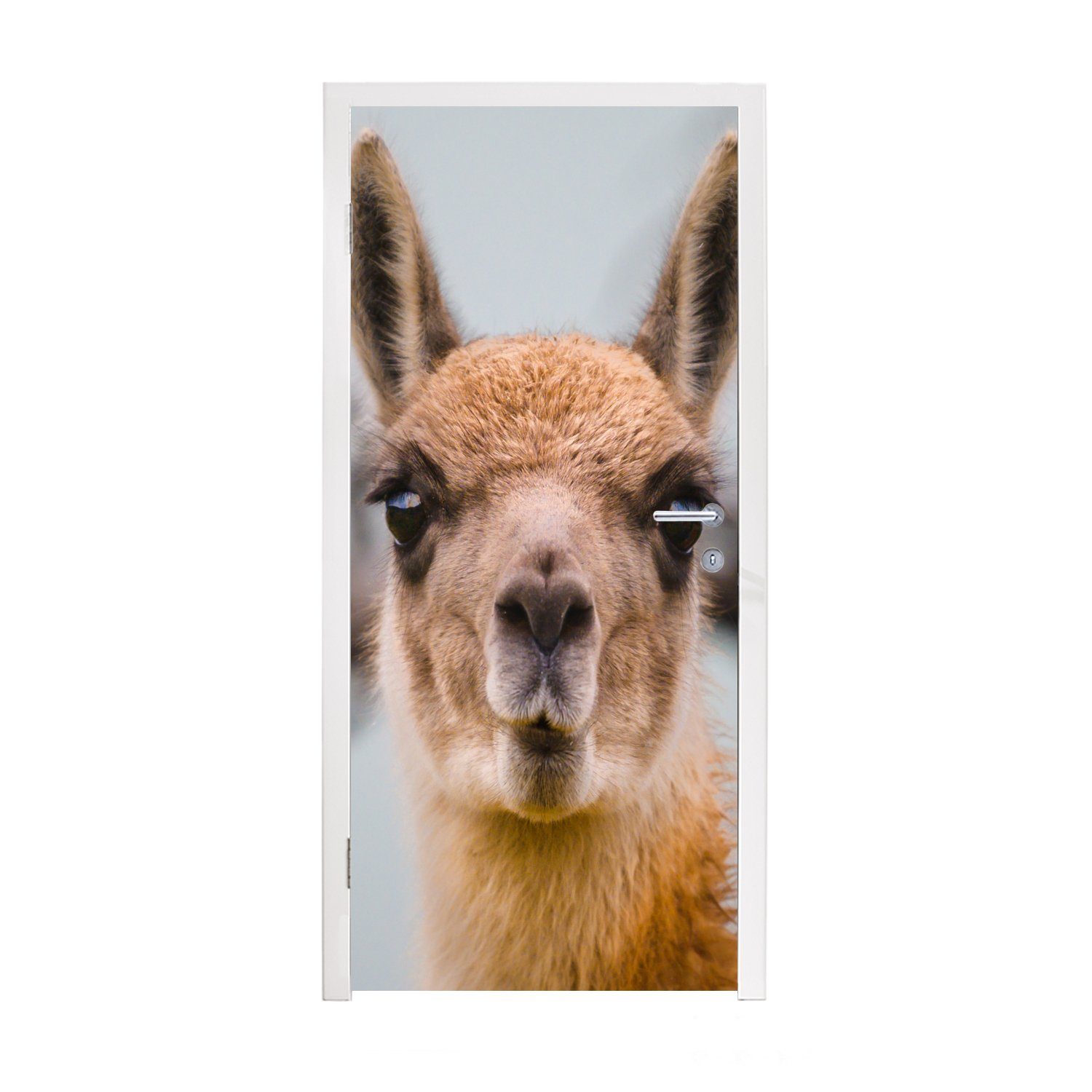 MuchoWow Türtapete Lama - Selfie - Boom, Matt, bedruckt, (1 St), Fototapete für Tür, Türaufkleber, 75x205 cm