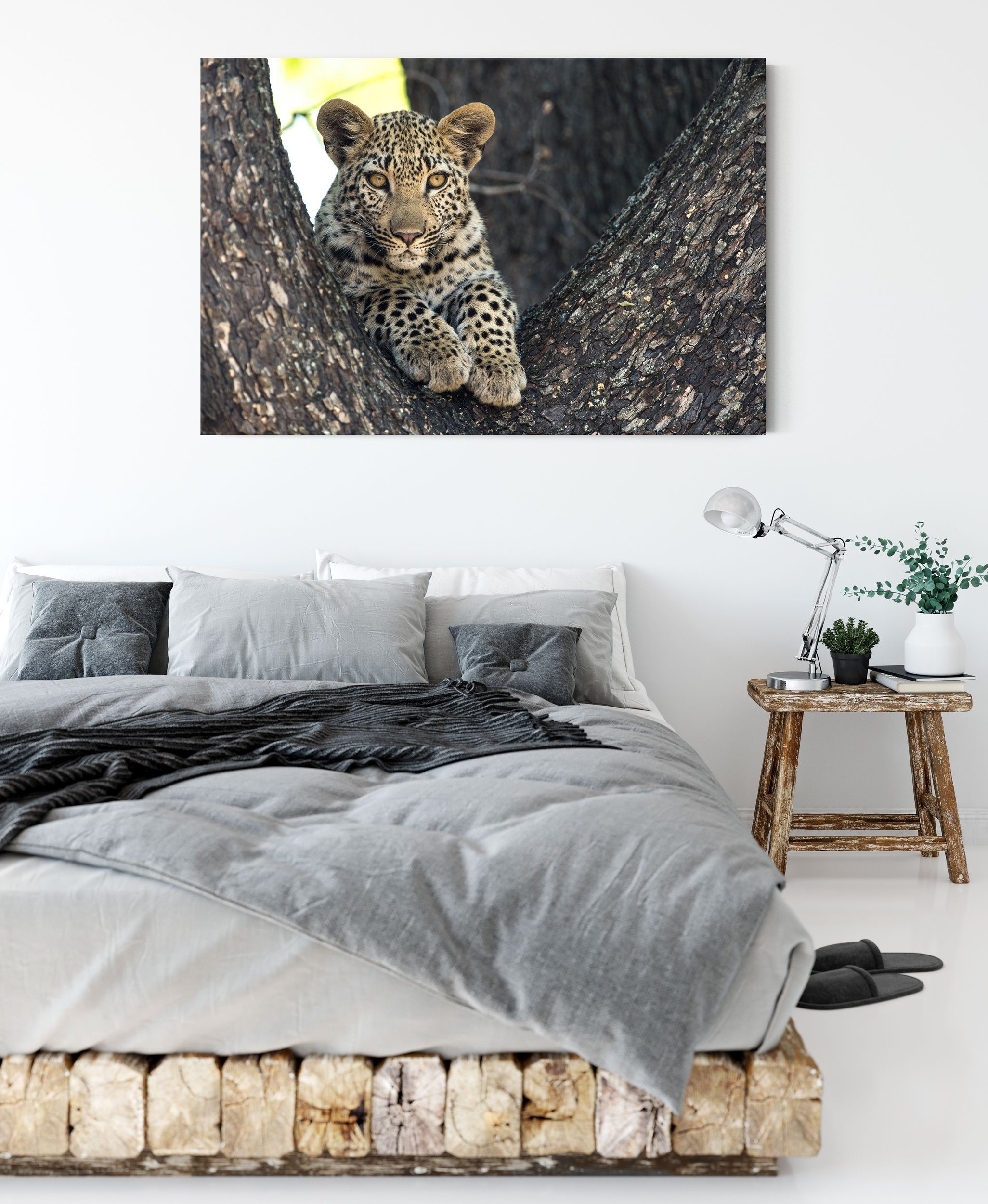 bespannt, St), Leopardenbaby Leinwandbild (1 Zackenaufhänger Pixxprint fertig Leinwandbild Leopardenbaby, inkl.