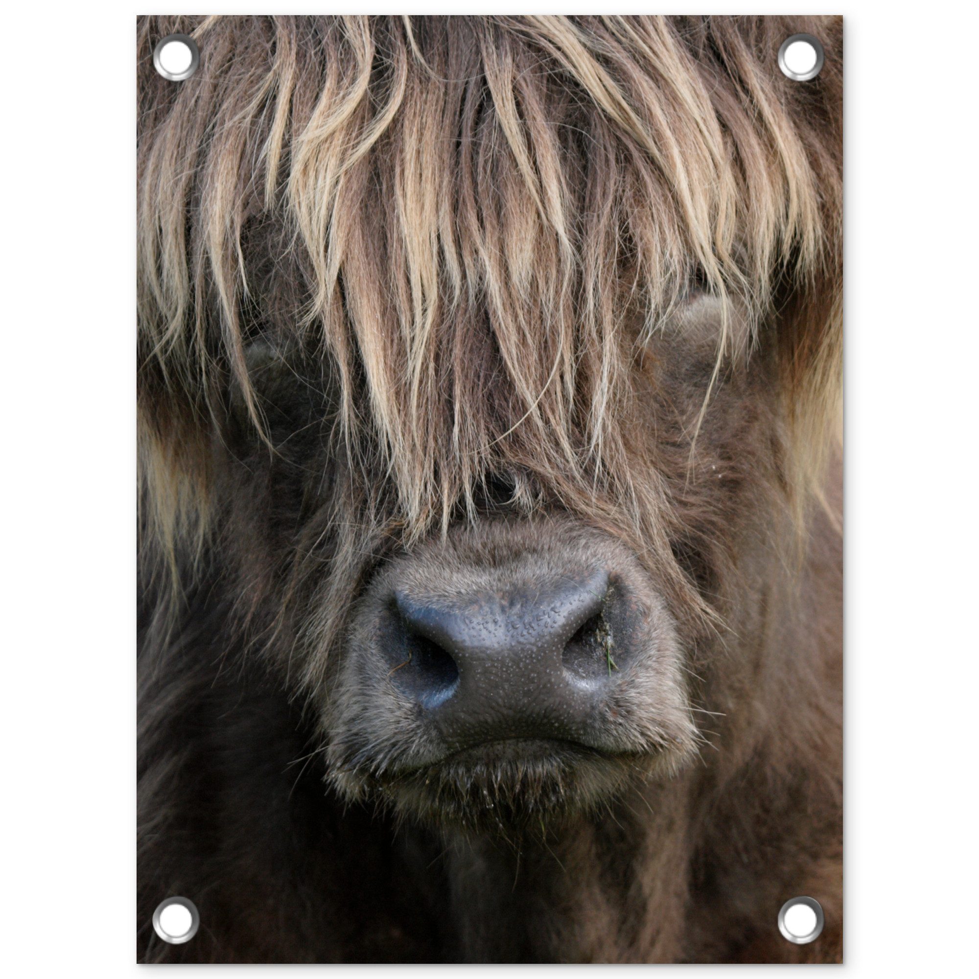 OnlyWow Poster für Garten Schottischer Highlander - Braun - Nase, Gartenposter, Outdoor Bilder, Gartendeko für draußen, 30x40 cm