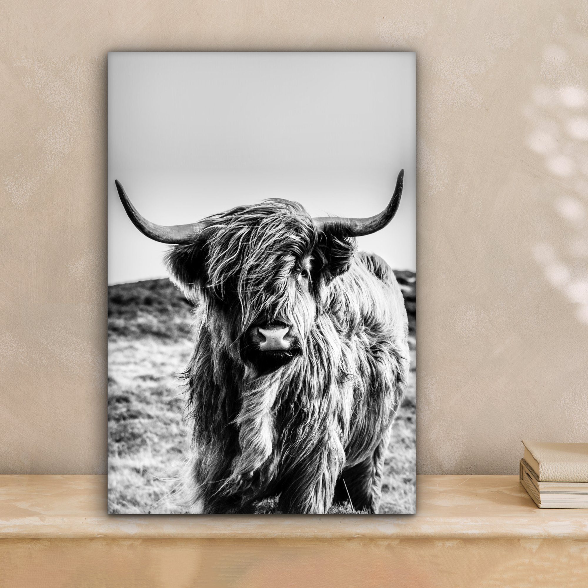 OneMillionCanvasses® Leinwandbild Scottish Highlander - Schwarz günstig online kaufen