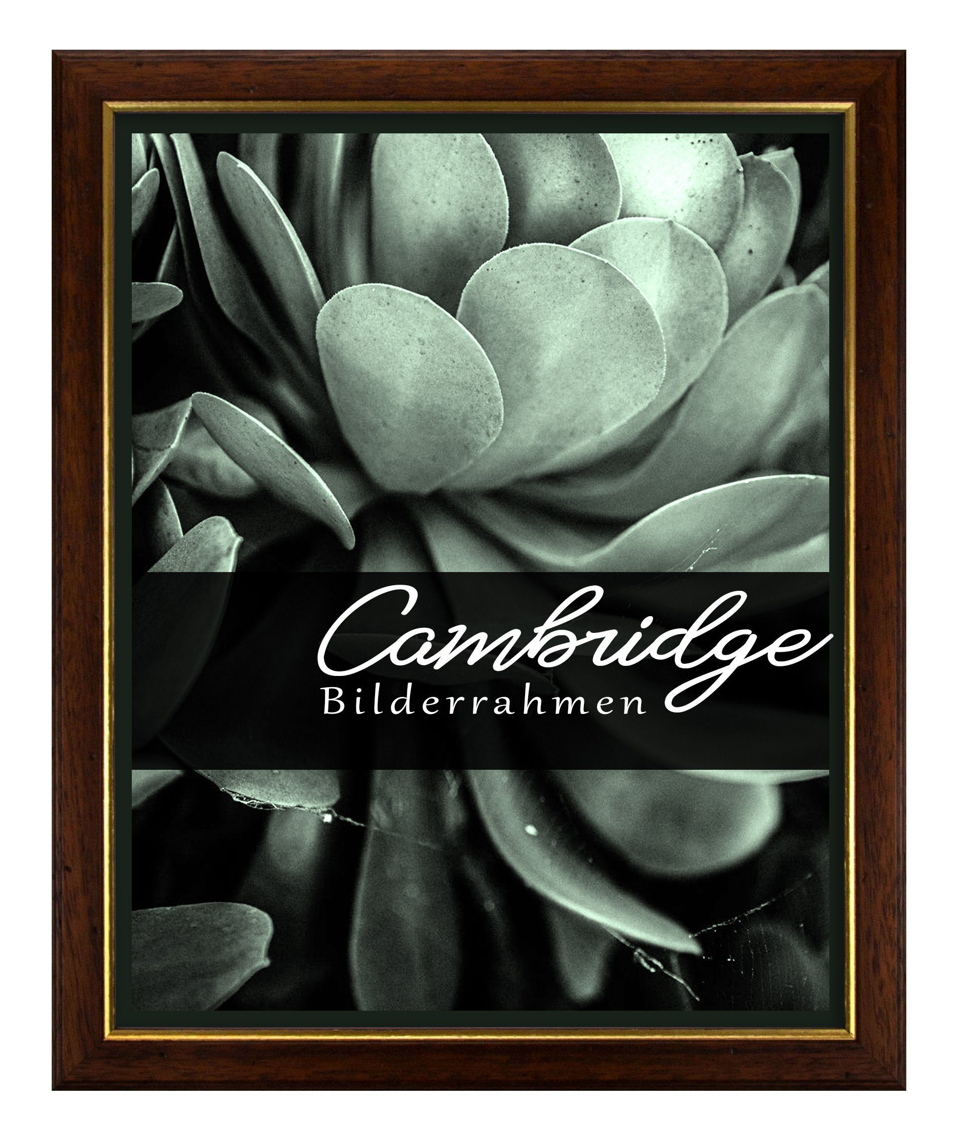 Einzelrahmen Bilderrahmen Cambridge, (1 Stück), 20x30 günstig online kaufen