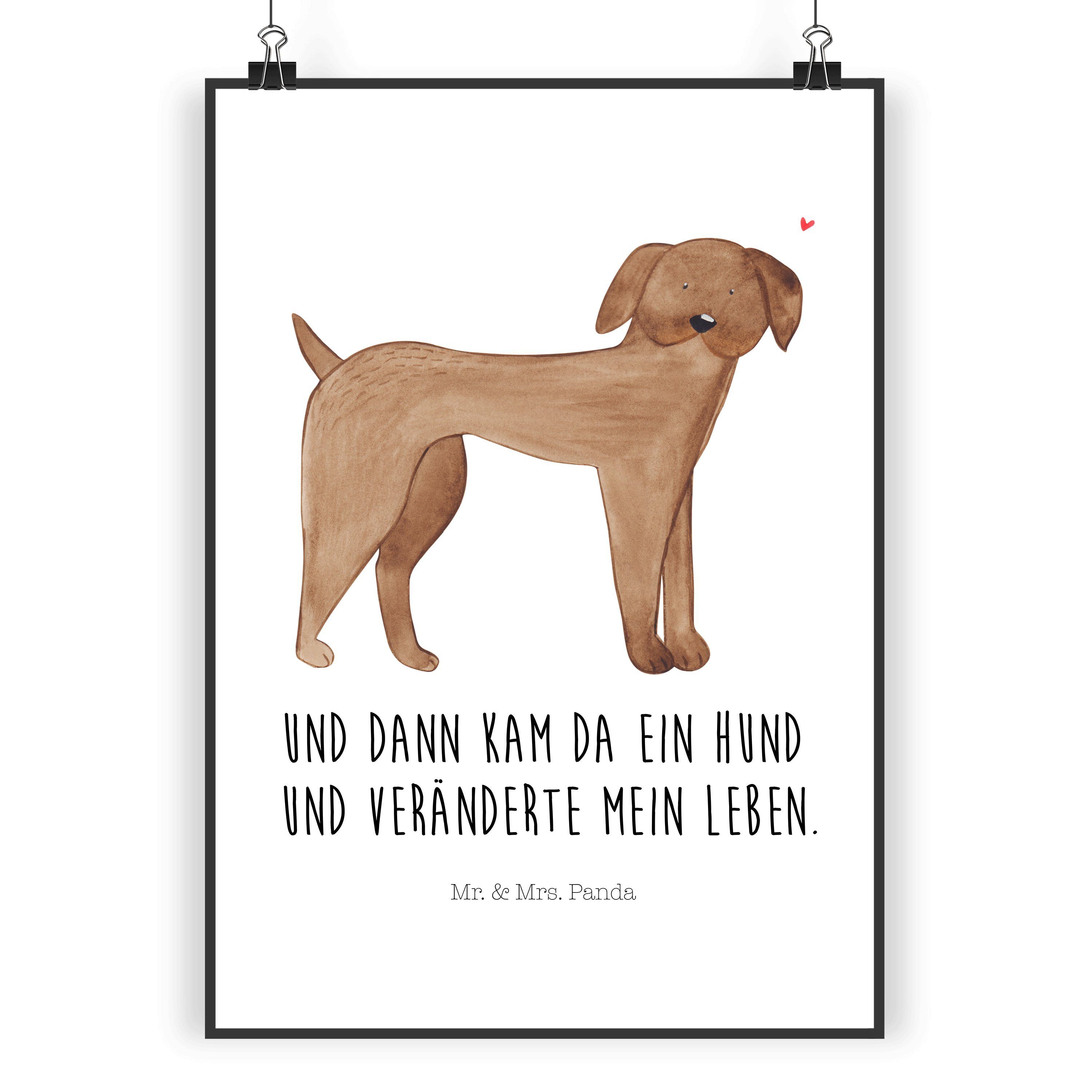 Poster DIN A5 Hund Dogge - Weiß - Geschenk, Tierliebhaber, Hundemama, Vierbe
