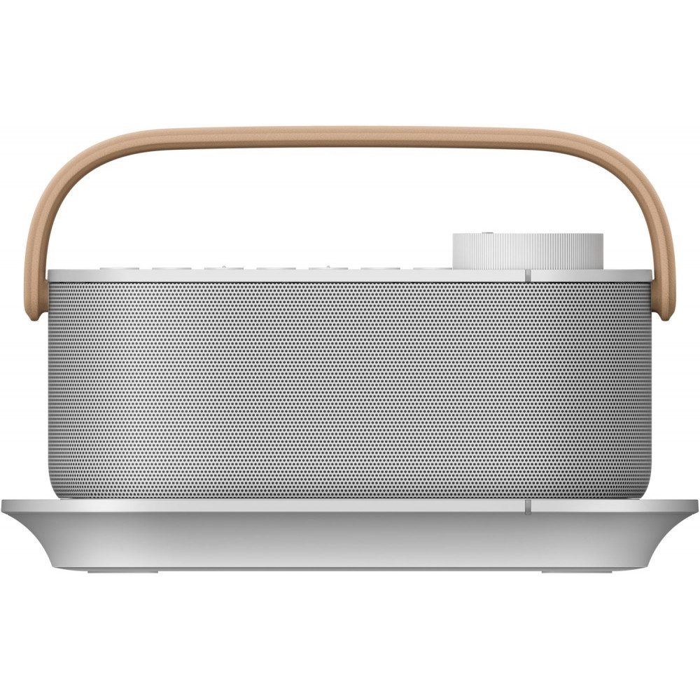 Sony Professional Sony SRS-LSR200 tragbares Lautsprechersystem. Portable-Lautsprecher (Kabellos, Deutlicher, klarer Klang)