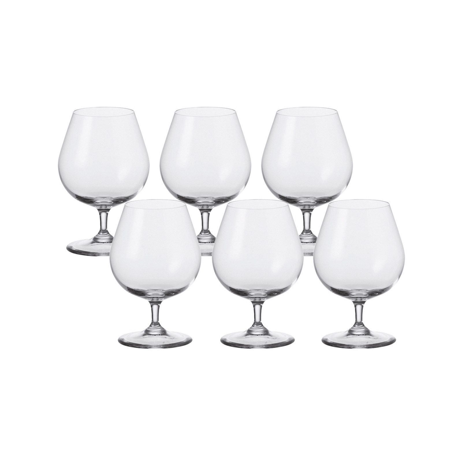 LEONARDO Schnapsglas Cognac Glas 6er-Set Ciao+, 6-tlg., Glas, stoßfest, klangvoll, gastronomiegeeignet