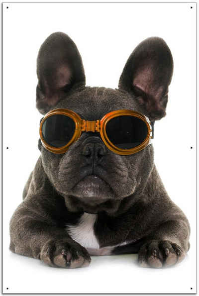 Wallario Sichtschutzzaunmatten Cooler Hund mit Sonnenbrille in orange - Französische Bulldogge
