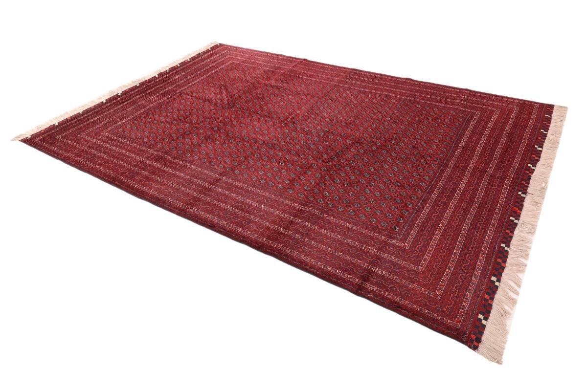 Orientteppich Afghan rechteckig, 6 mm Höhe: Handgeknüpfter 251x349 Trading, Orientteppich, Mauri Nain
