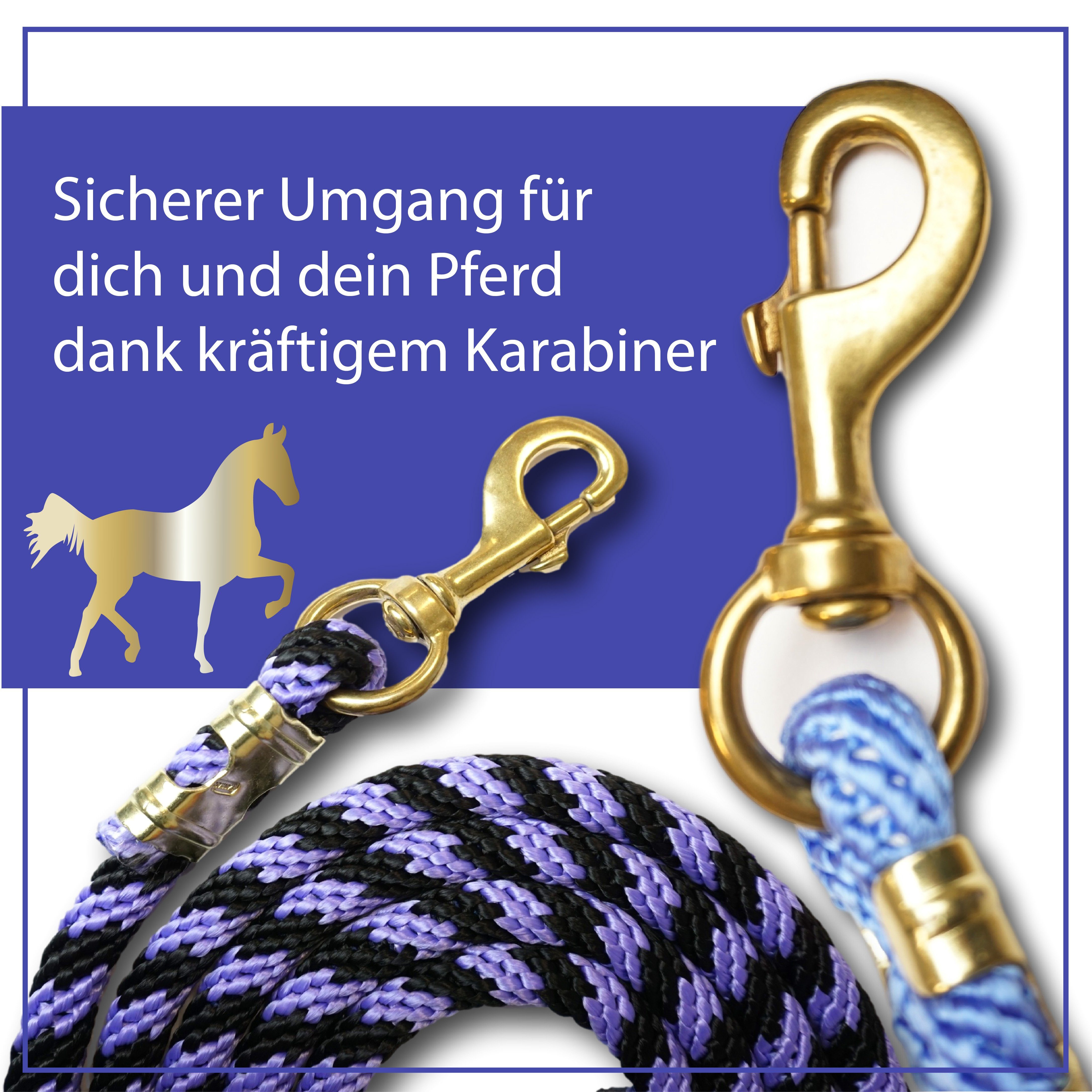 Führstrick hellblau Anbindestrick, / mit Anbinde- für 2,5m 2,5m, Führstrick Länge Pferde, Führstrick Karabiner Pferdelinis