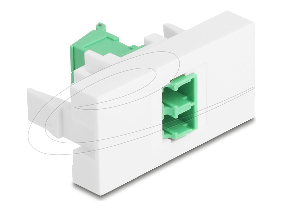 Delock Netzwerk-Panel