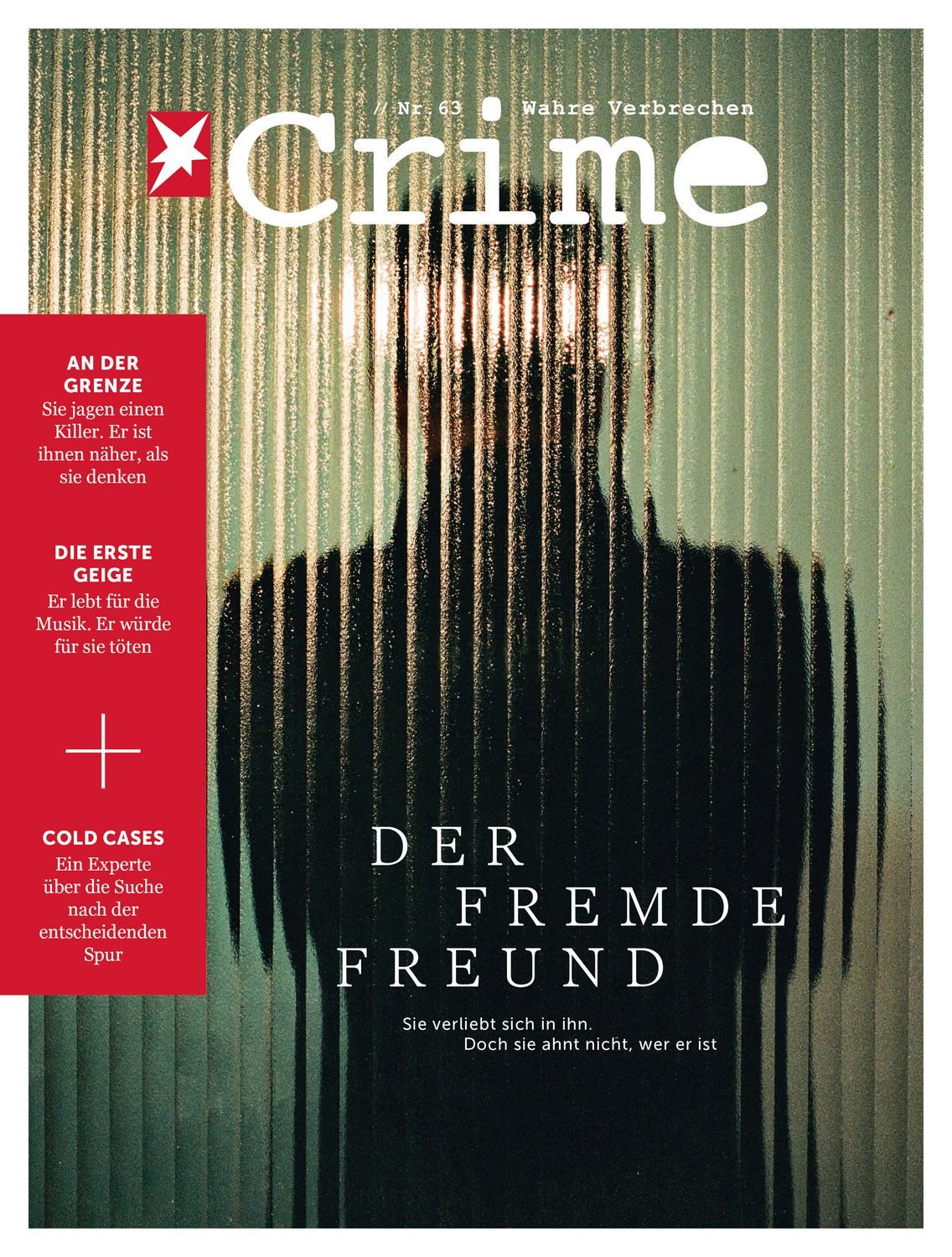 stern Crime - Wahre Verbrechen / diverse