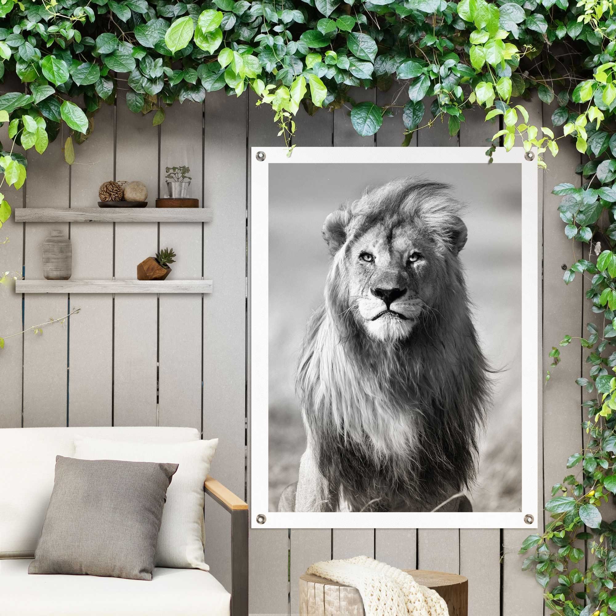 Reinders! Poster Löwe, Outdoor Balkon oder Garten für