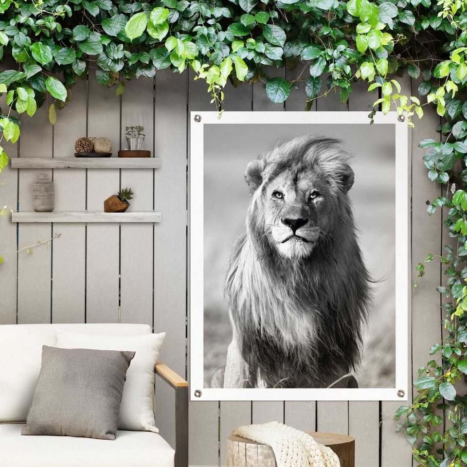 Reinders! Poster Löwe, Outdoor für Garten oder Balkon