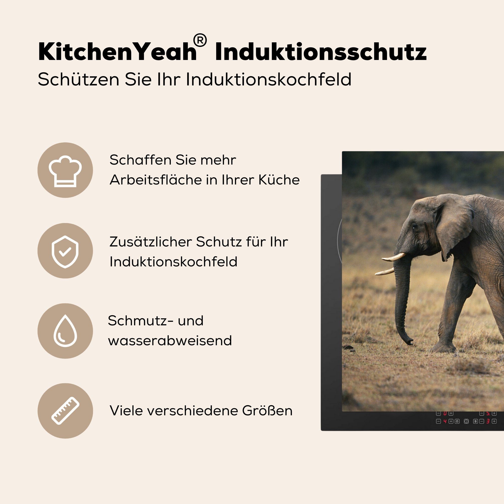 Vinyl, die - 81x52 - küche, Kenia, Schutz Kalb Induktionskochfeld für Herdblende-/Abdeckplatte Elefant tlg), cm, (1 MuchoWow Ceranfeldabdeckung