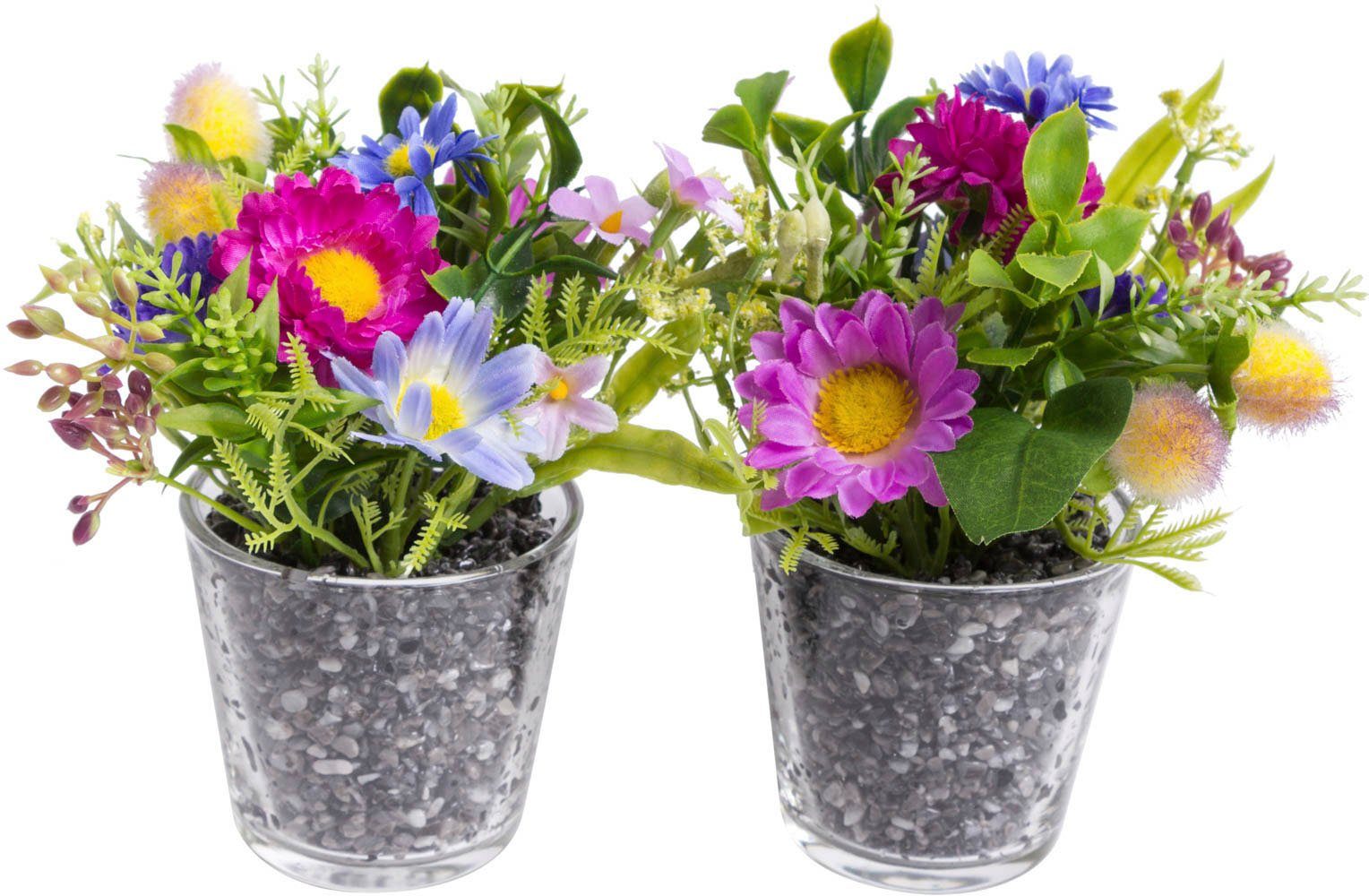 Kunstblume Frühlingsarrangement im Glas Bellis, Botanic-Haus, Höhe 18 cm