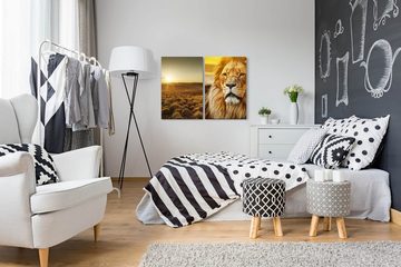 Sinus Art Leinwandbild 2 Bilder je 60x90cm Afrika Wildnis Löwe König Sonnenuntergang Safari Natur