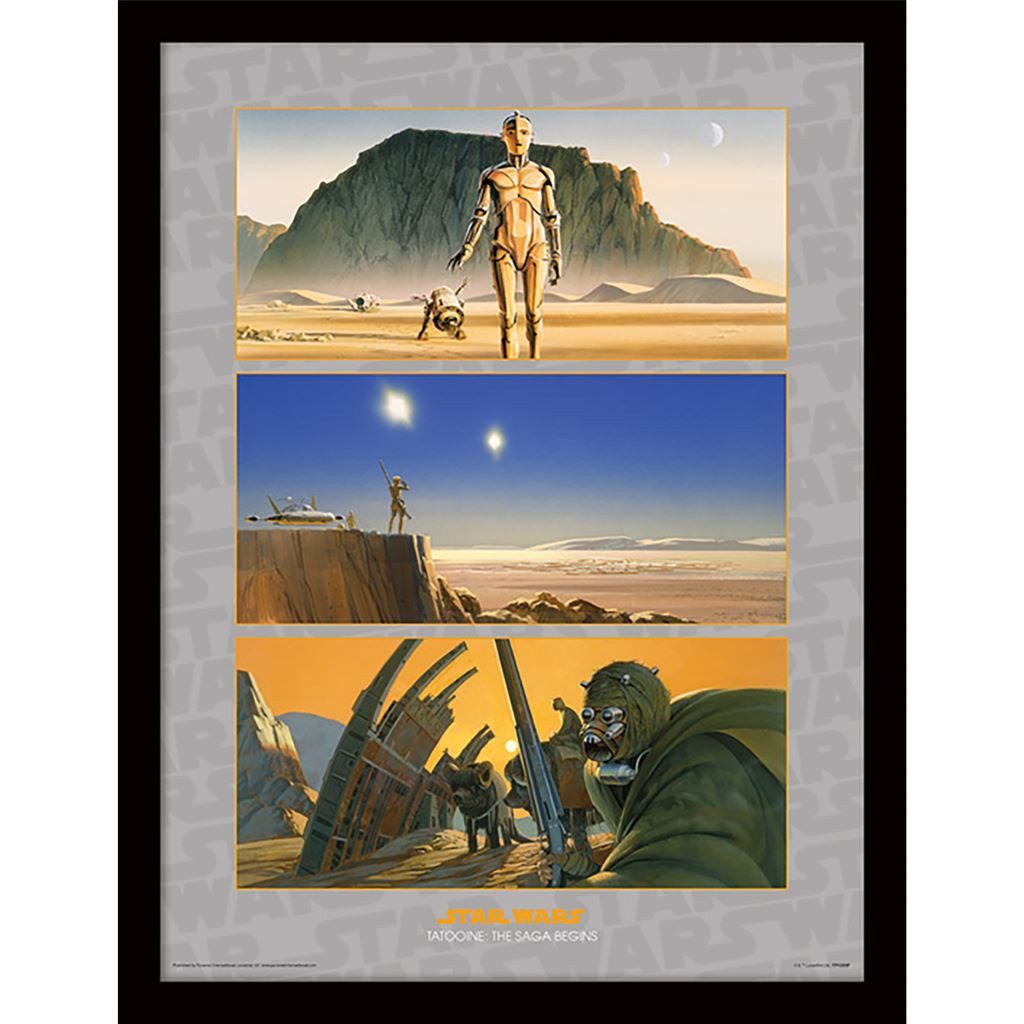 Star Wars Bild mit Rahmen Tatooine: The Saga Begins, Gerahmtes Bild Kunstdruck