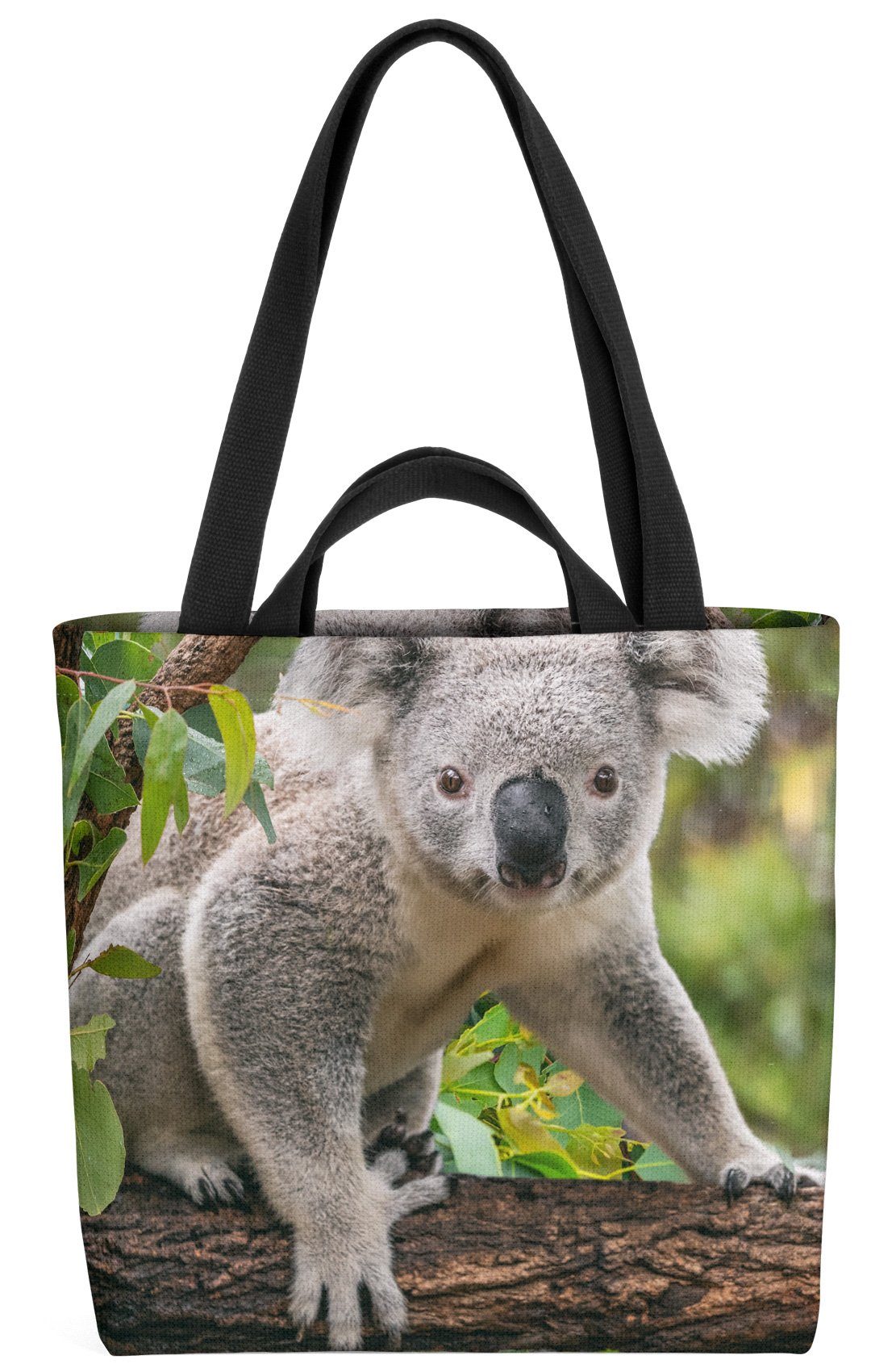 (1-tlg), Australien Koalabär Baum Eukalyptus Park Koala Urwald Tier Henkeltasche Zoo Bär Foto VOID