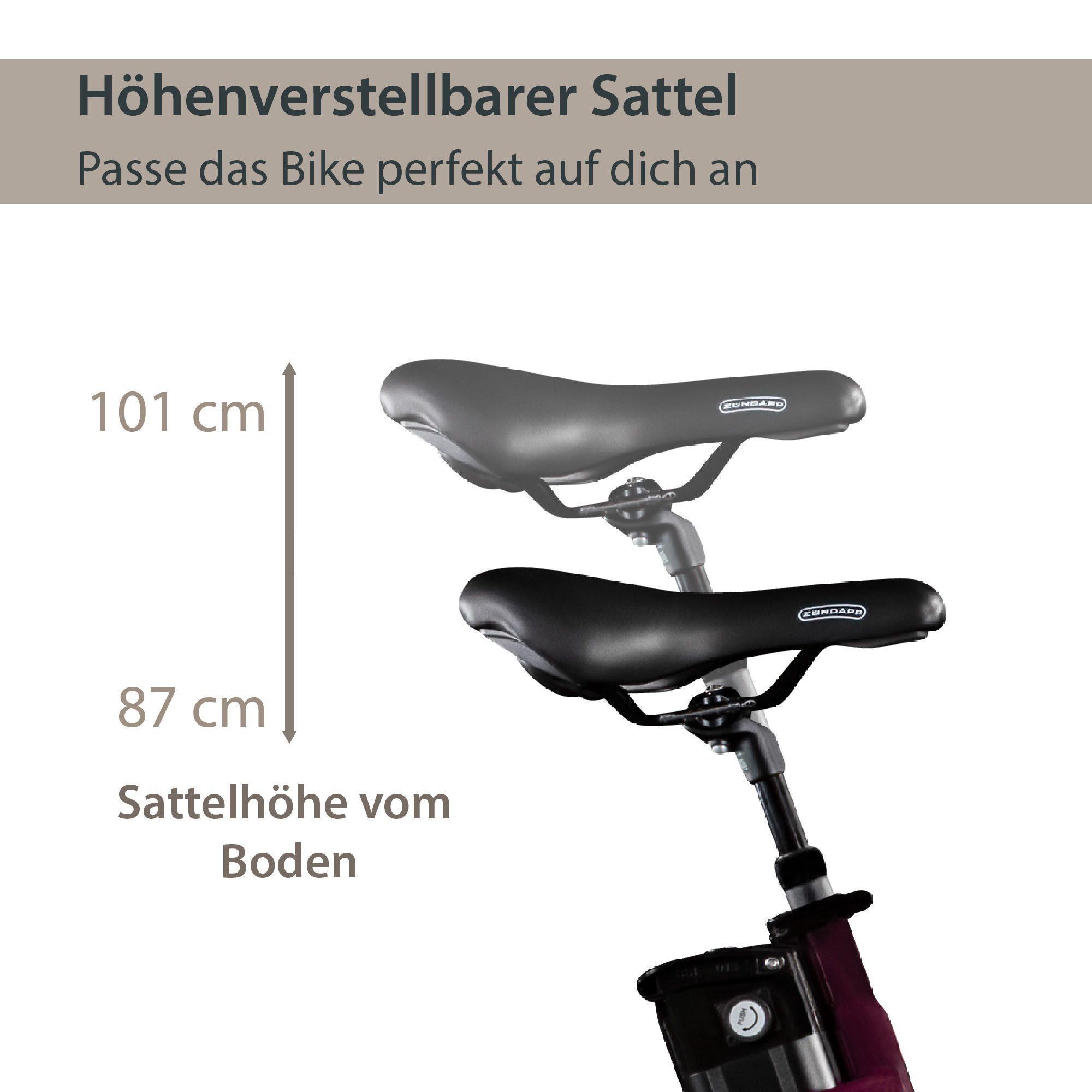 AGON E-Bike Cityrad Axis, 3 Gang, Nabenschaltung, Frontmotor, 374 Wh, Pedelec, Elektrofahrrad für Damen u. Herren