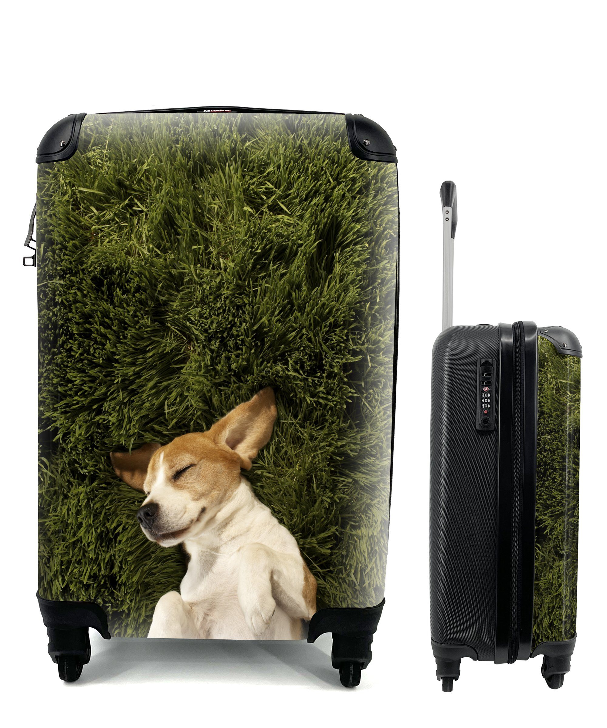MuchoWow Handgepäckkoffer Im Gras schlafender Hund, 4 Rollen, Reisetasche mit rollen, Handgepäck für Ferien, Trolley, Reisekoffer