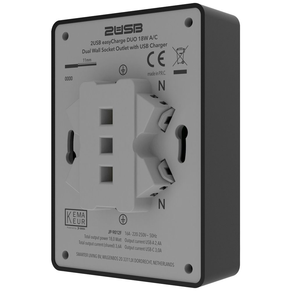 2USB Steckdose 2USB 2U-449719 Unterputz-Dose mit USB-C®, mit USB-Ladeausgang Schwa