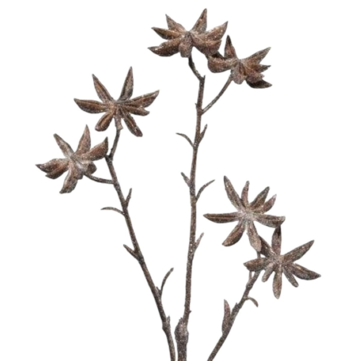 Kunstpflanze Künstlicher STERNANIS 41cm. Sternannis Dekozweig in BRAUN, Gasper