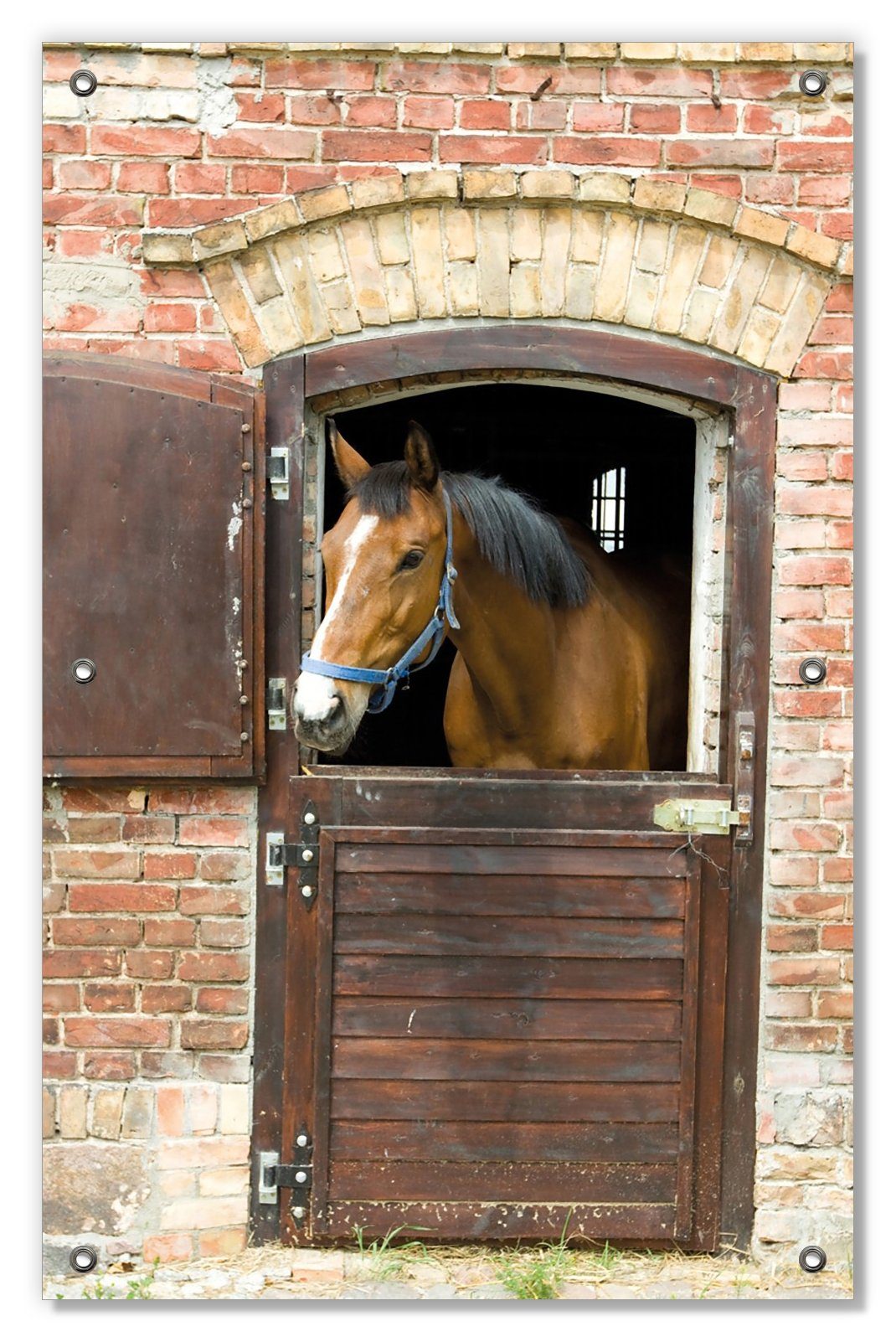 Sonnenschutz Pferd im Stall, Wallario, blickdicht, mit Saugnäpfen, wiederablösbar und wiederverwendbar