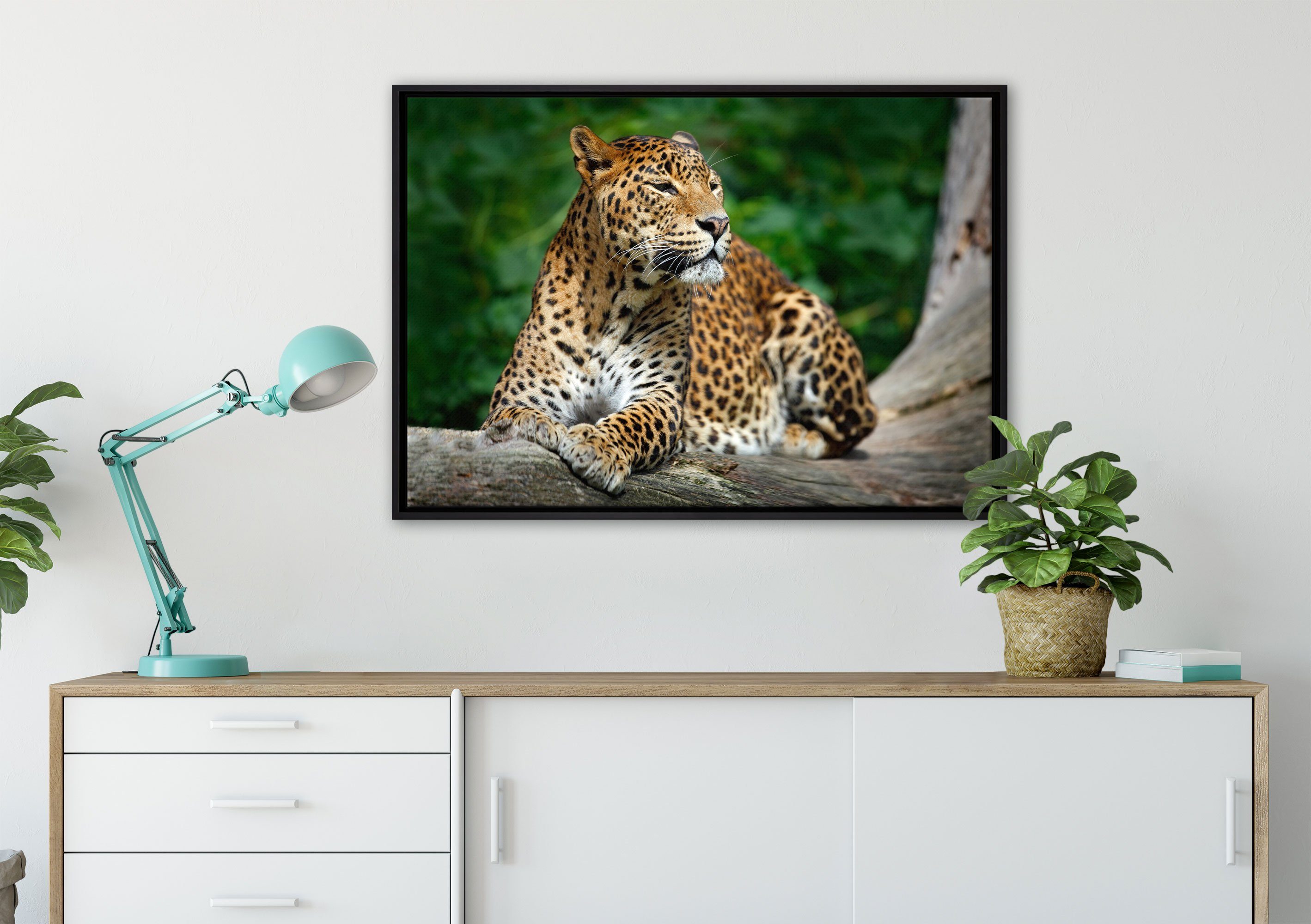 der Pixxprint Schattenfugen-Bilderrahmen inkl. St), fertig Leinwandbild Wunderschöner bespannt, Natur, (1 einem Wanddekoration in Zackenaufhänger in gefasst, Leinwandbild Leopard